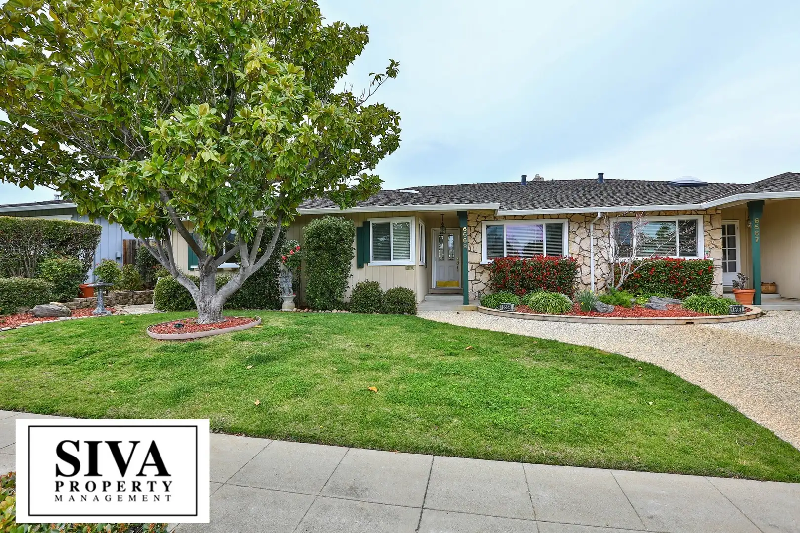 Almaden Beauty photo 3