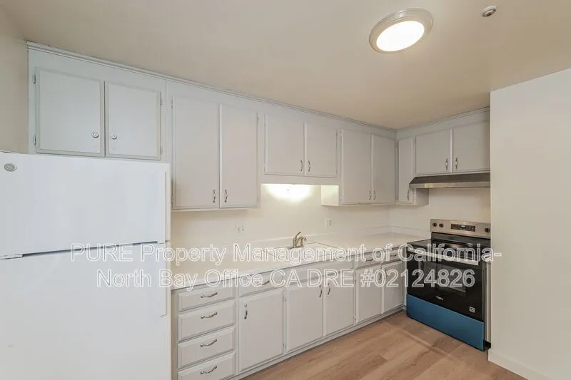 146 Brush Creek Rd Santa Rosa, CA 95404 photo 4