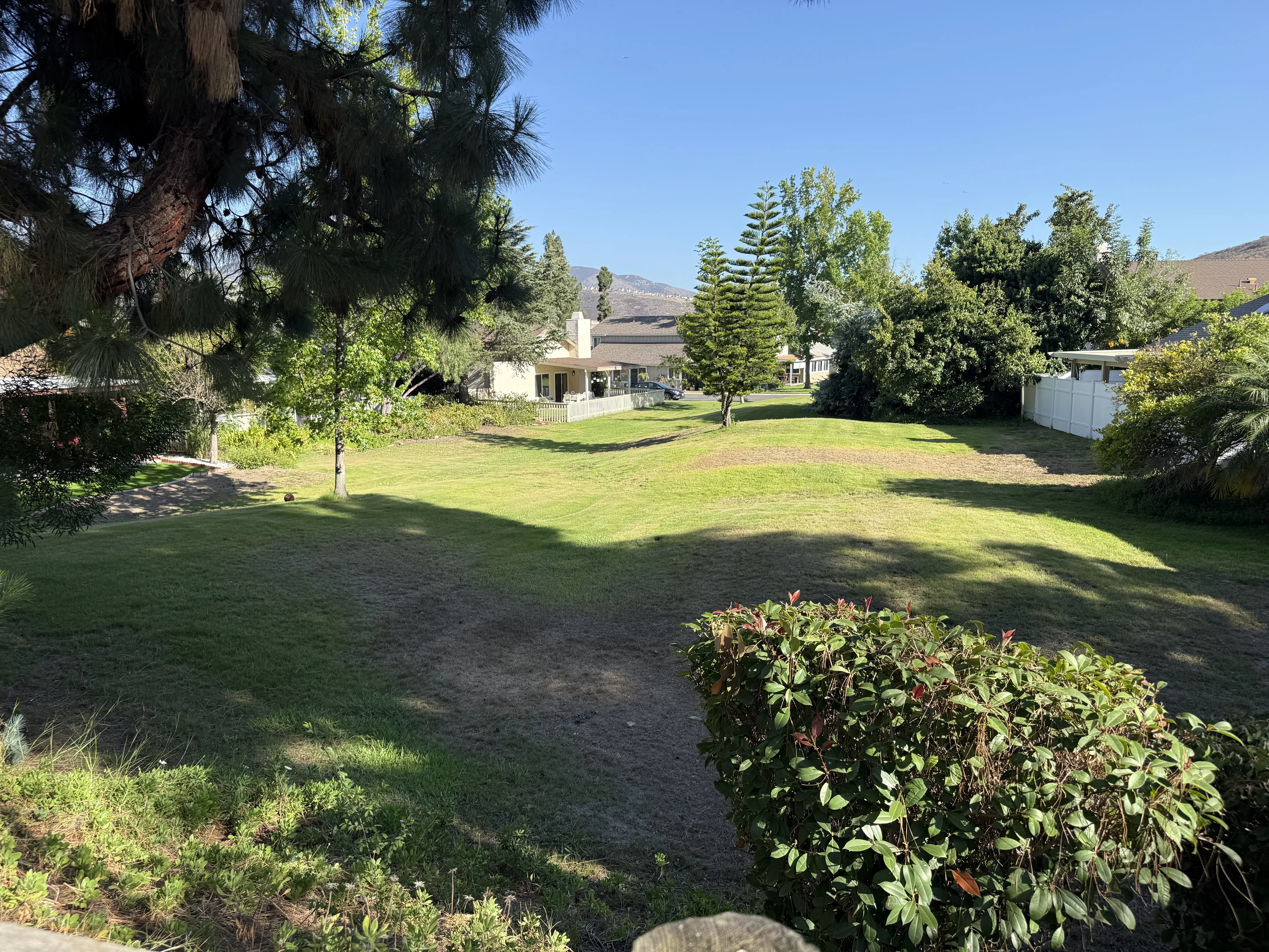 10157 Canyonridge Pl photo 4