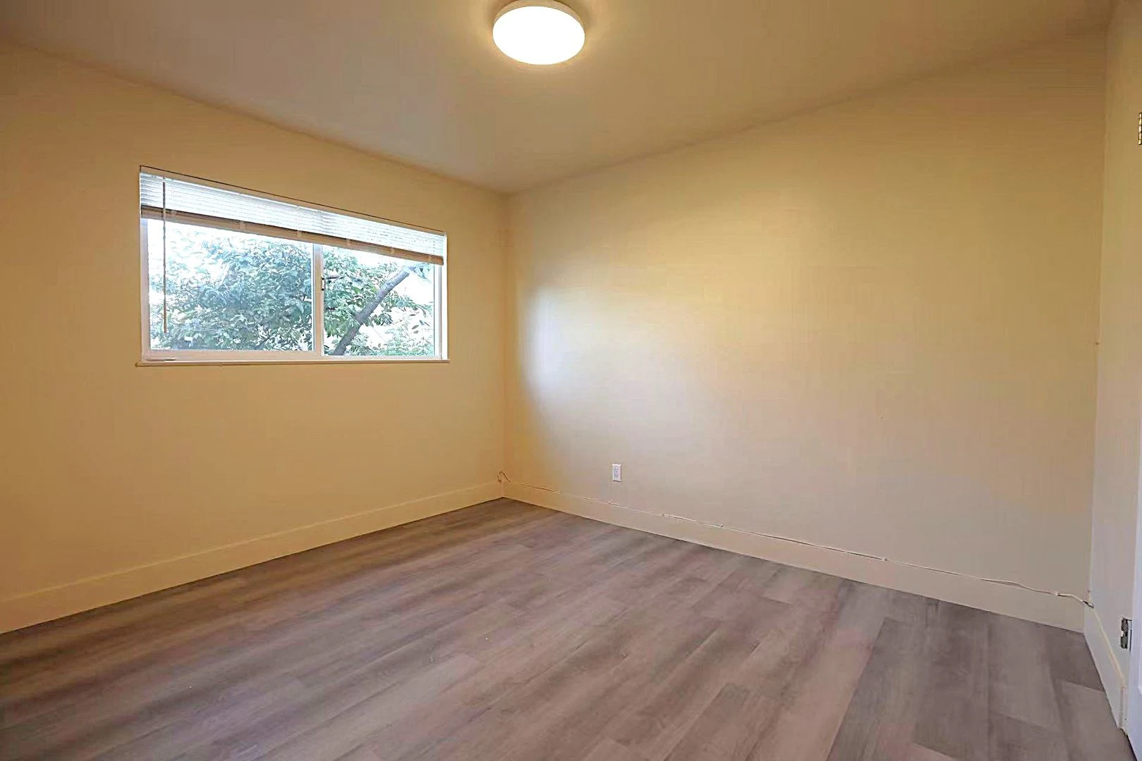 Coming Soon - 2 Bedroom, 1 Bath With Laminating Flooring photo 3