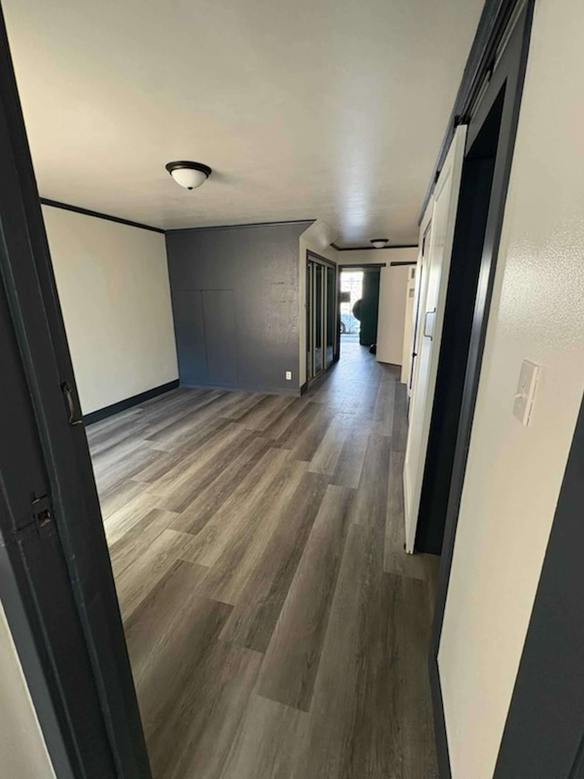 1BR/1BA Apartment on Leland Ave · San Francisco photo 3