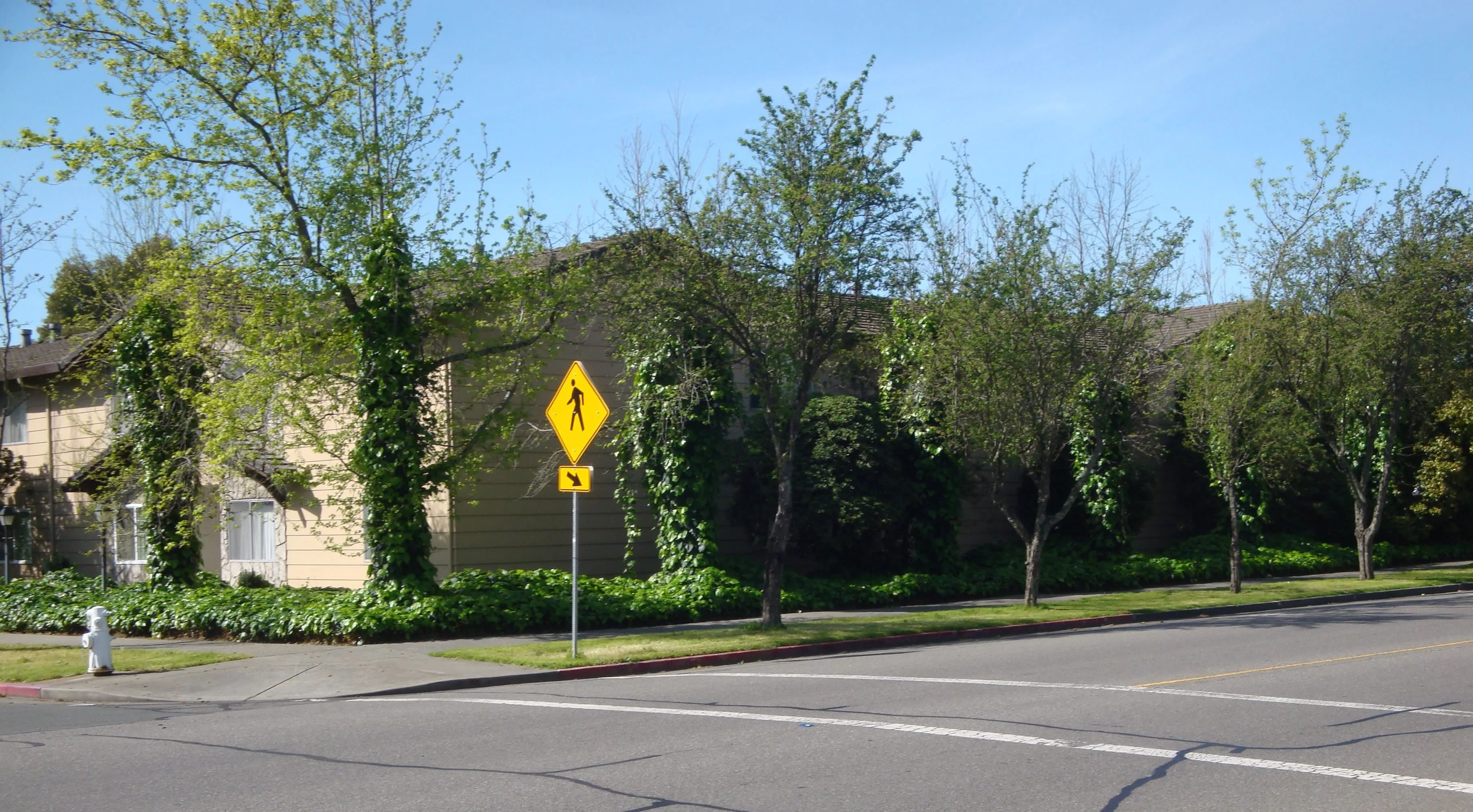 833 Madison Street, Unit A Rental photo 3