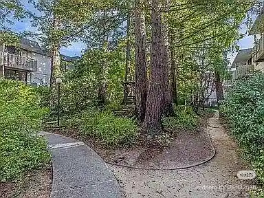 7226 Shelter Creek Ln San Bruno, CA 94066 photo 4