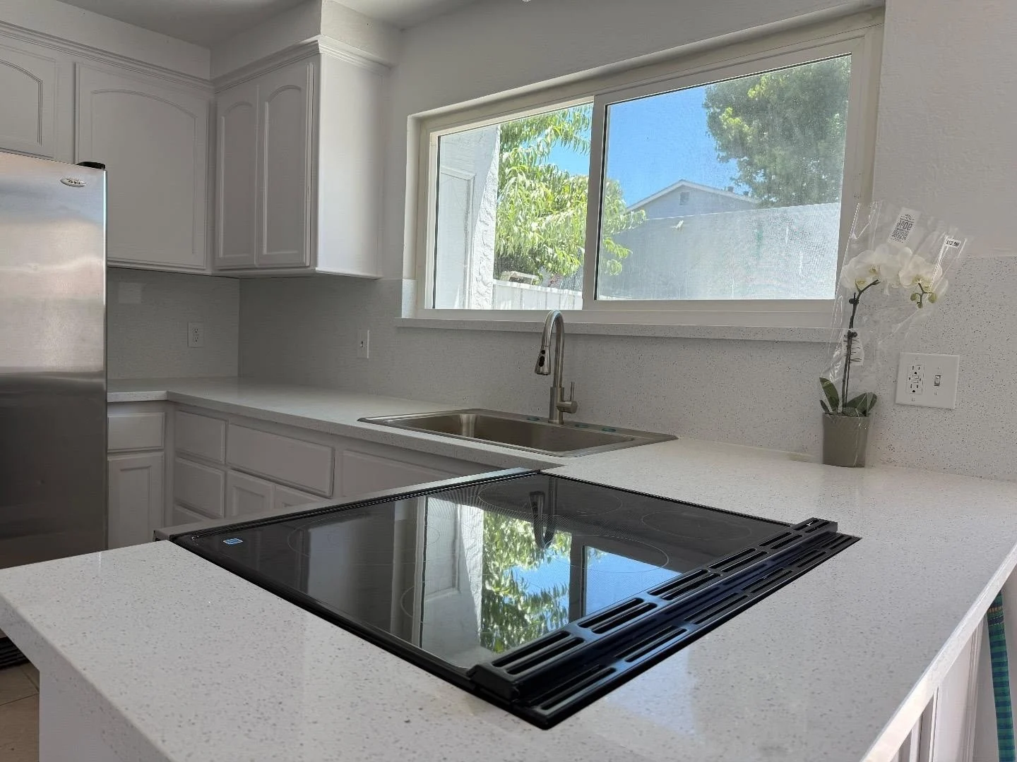 553 Balance DR photo 4