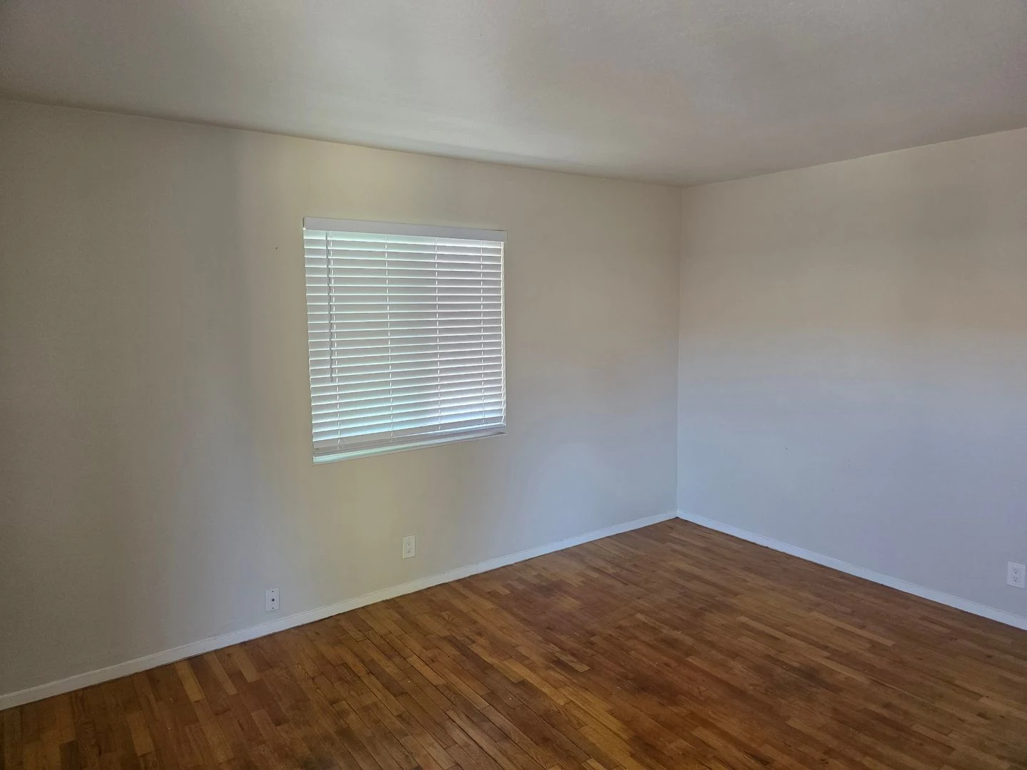 1BR/1BA Apartment on Reeve St · Santa Clara photo 3