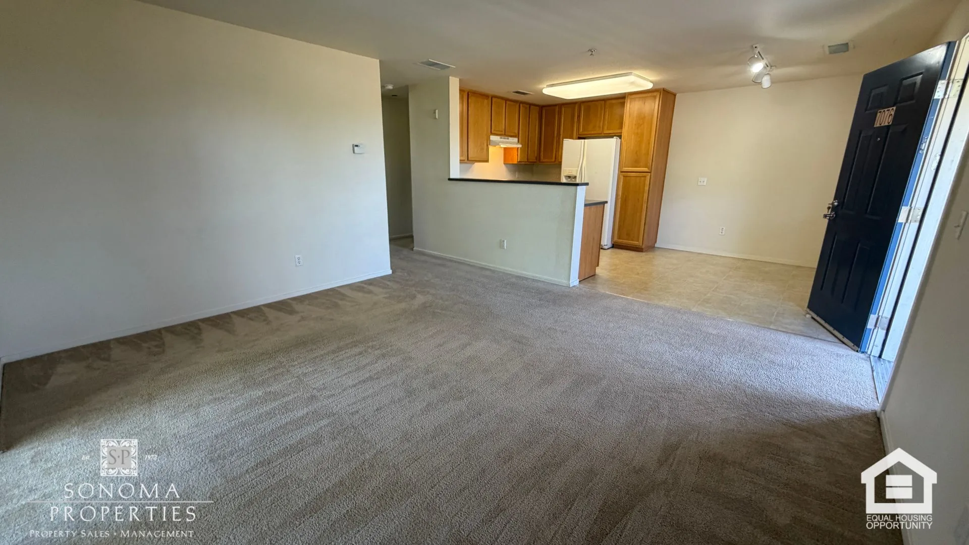 7076 Santero Way unit 7076 Santero Way photo 3