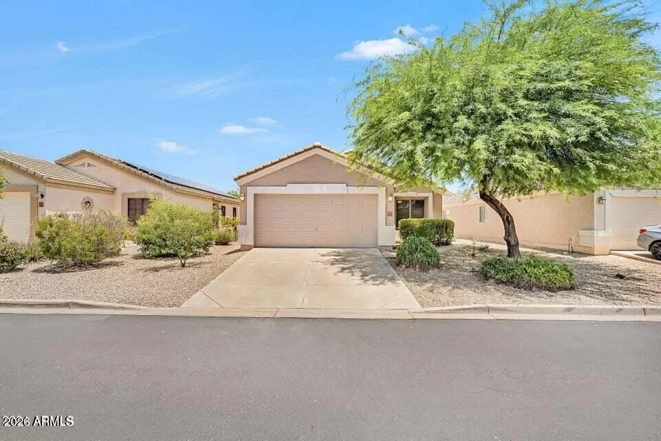 24039 N Mojave Ln Florence, AZ 85132 photo 5