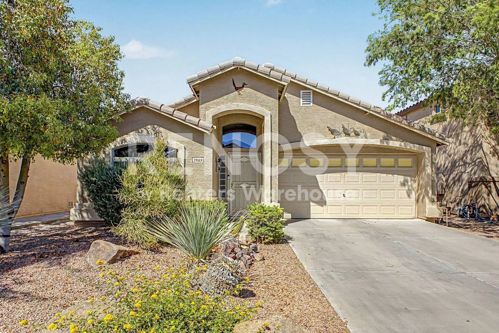 29169 N Rosewood Dr San Tan Valley, AZ 85143
