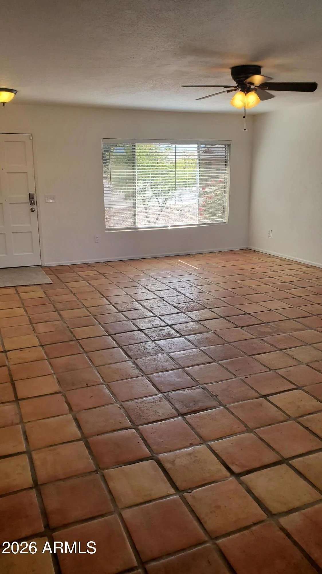1134 W HERMOSA Drive photo 3