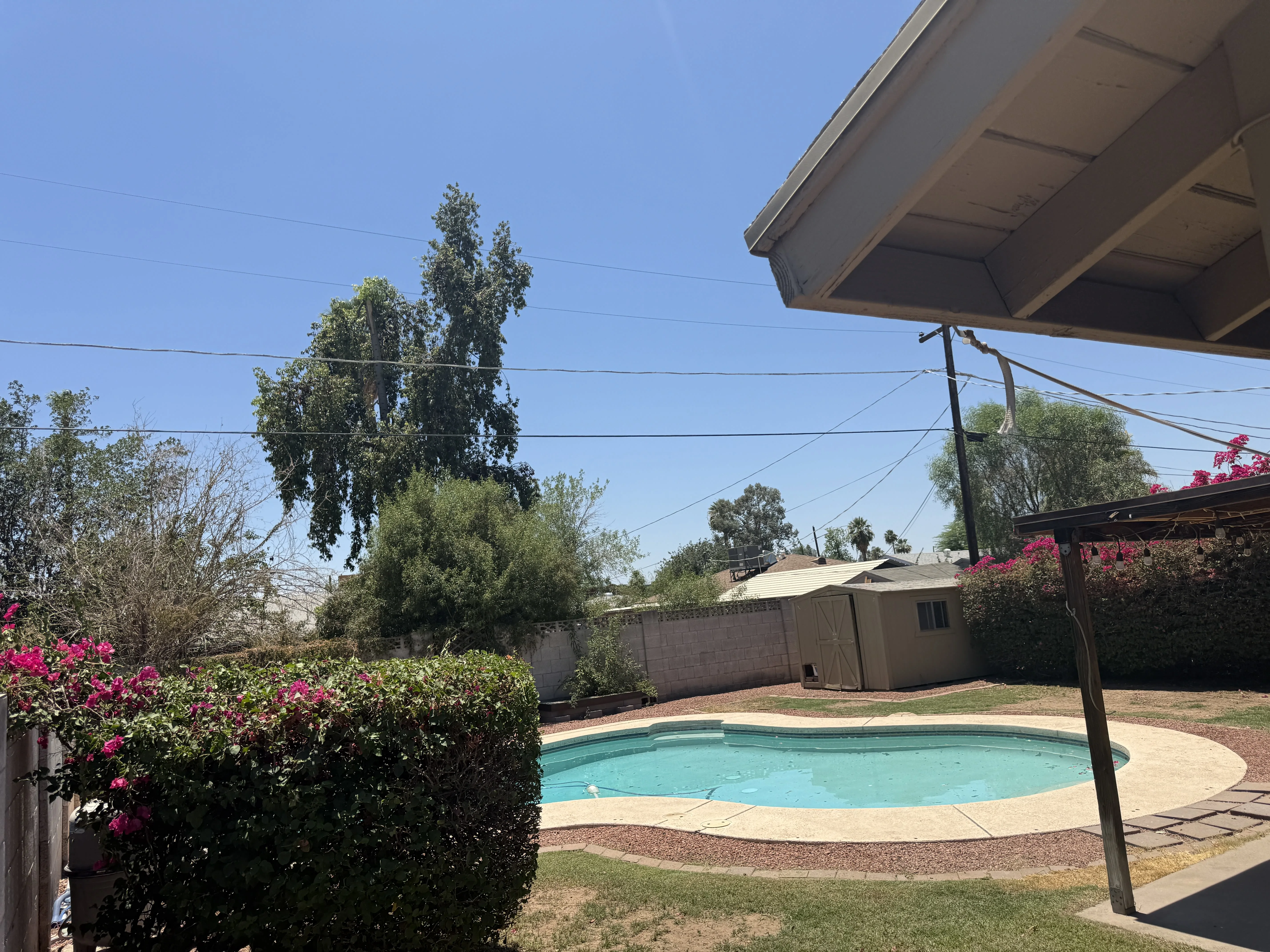 3515 East Flower Street photo 5