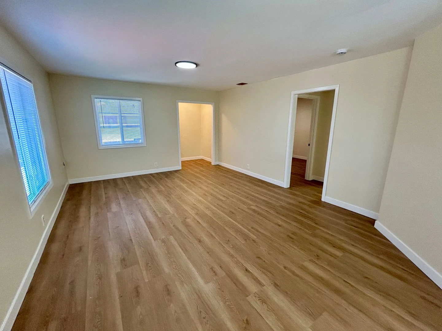 Completely Updated Lower Bal House! photo 5
