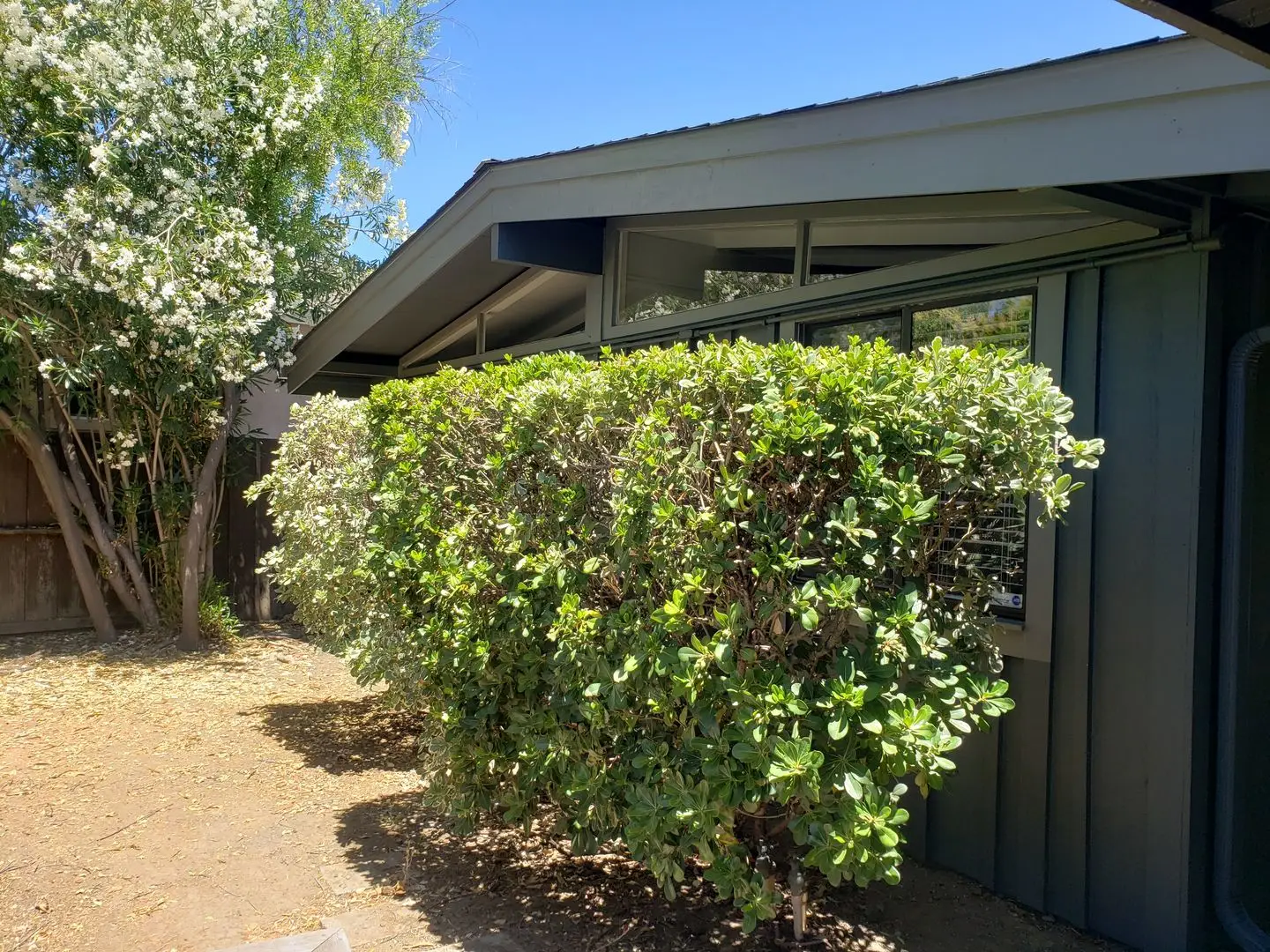 Award Winning Schools!! 3 Bed 1 Bath Home in Rancho Rinconada Neighborhood photo 2