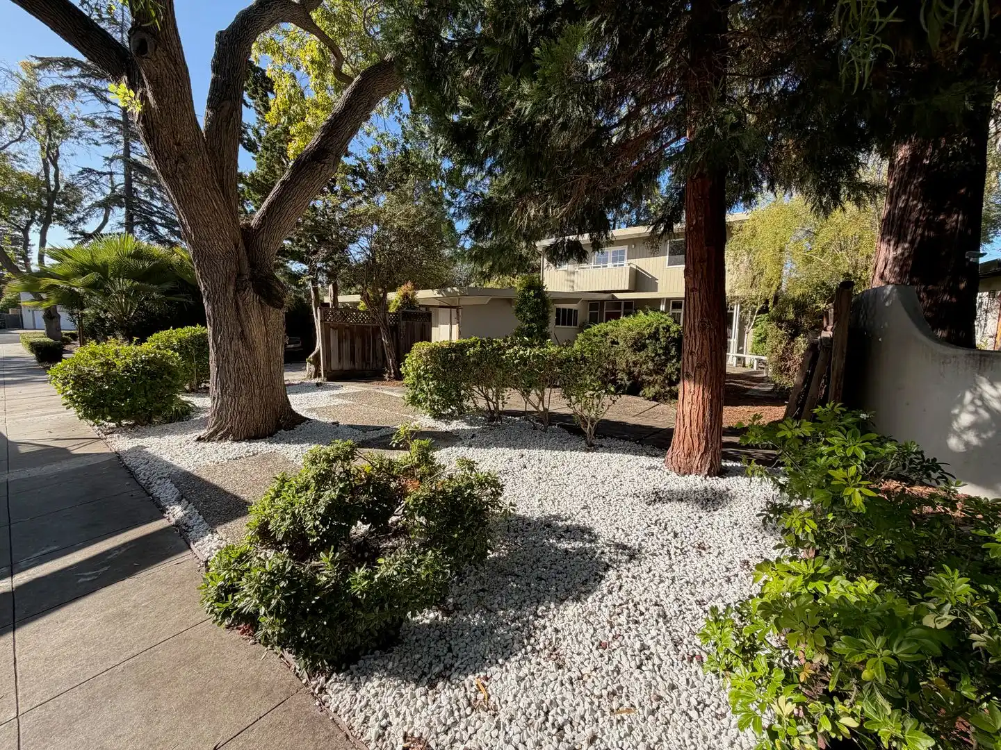 3630 Lupine Ave photo 2