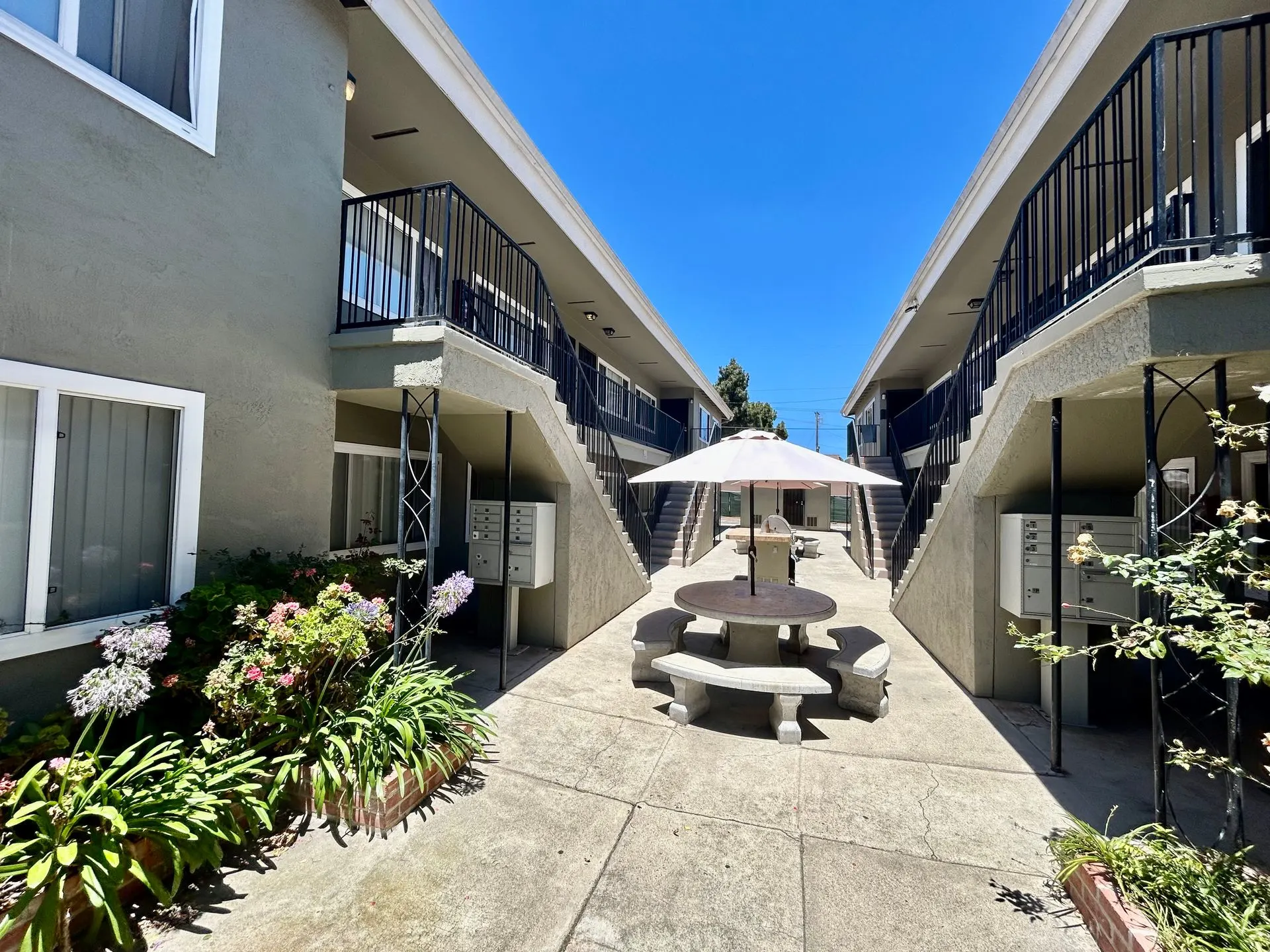 Bright 2 bed 1 bath in Pacific Beach photo 4
