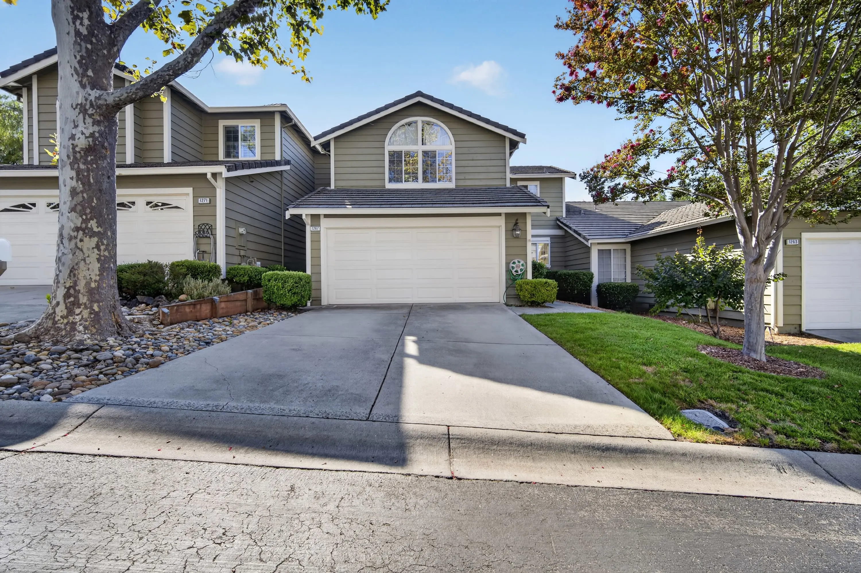 1267 Copper Peak Ln photo 3
