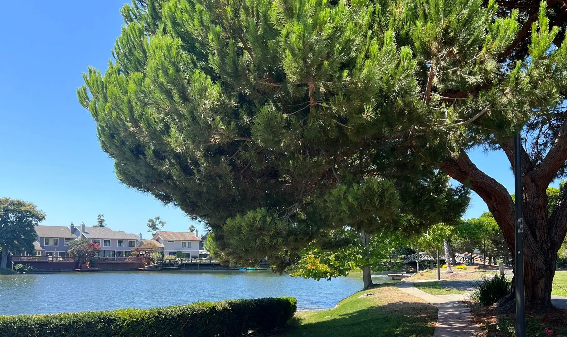 Enjoy peaceful waterfront living in Alameda 3/2.5 ready now photo 2