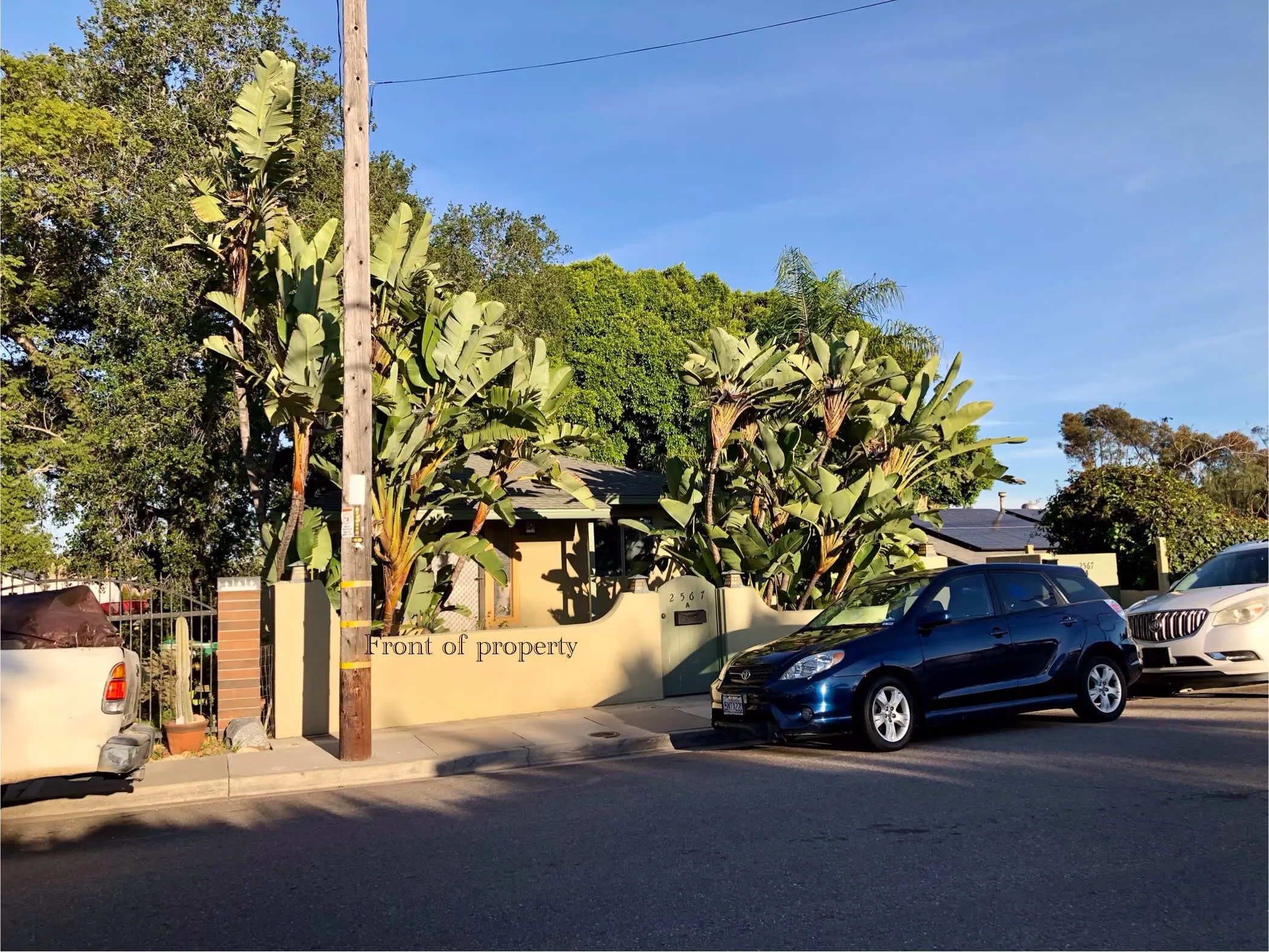 2567 Tuberose St photo 4