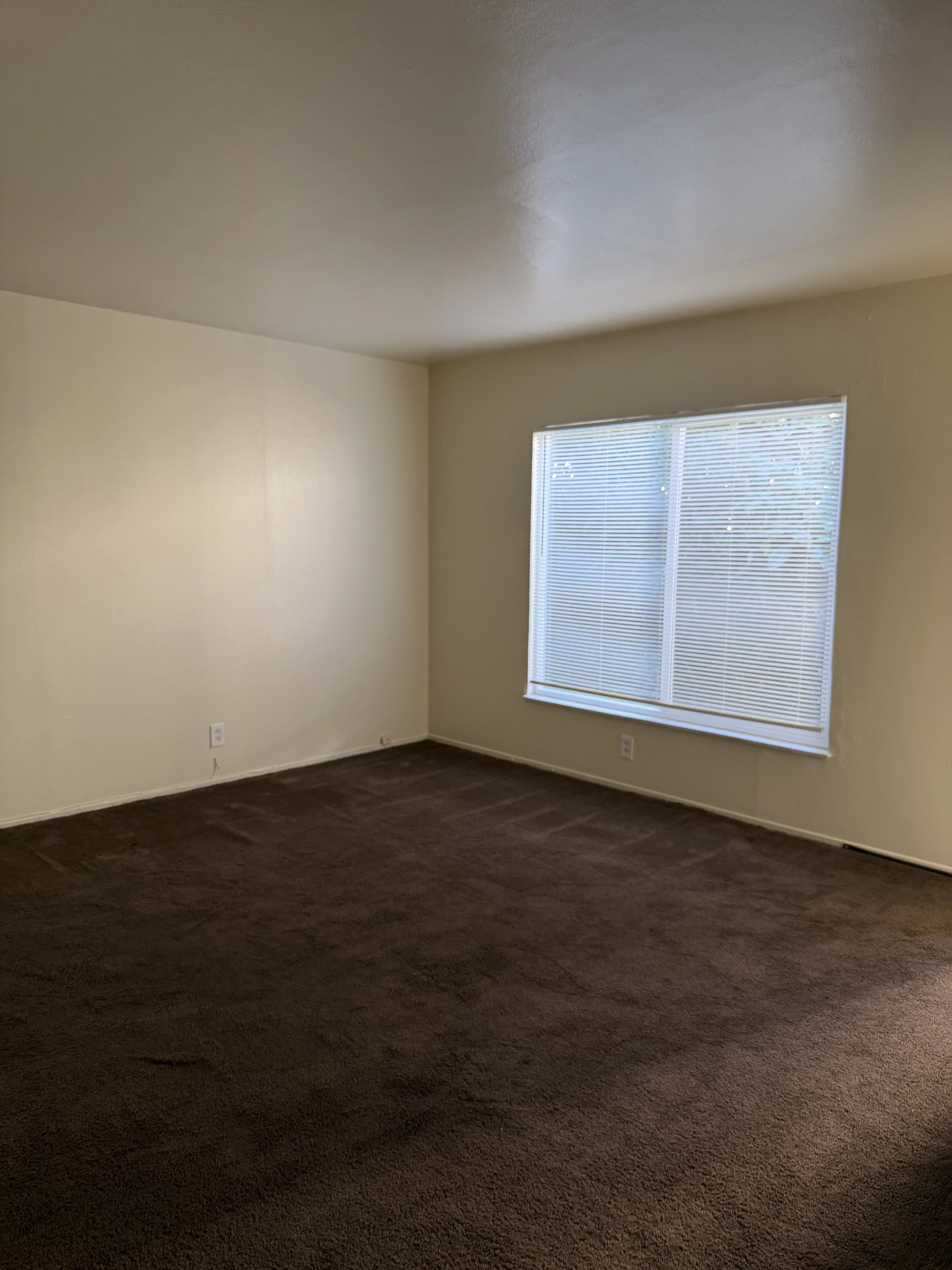 3680 38th Ave unit 3680 photo 2