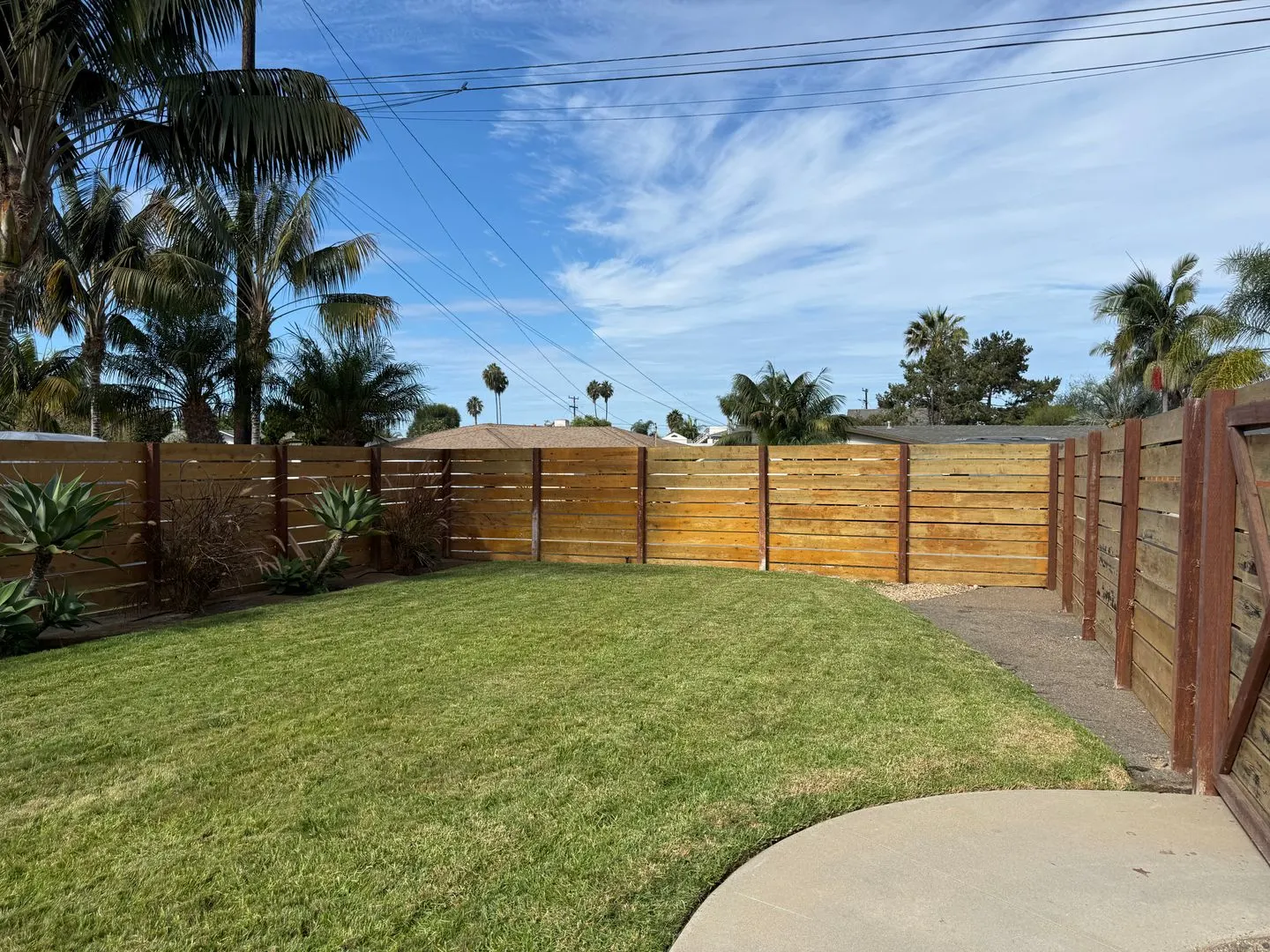 1115 Balour Dr photo 4