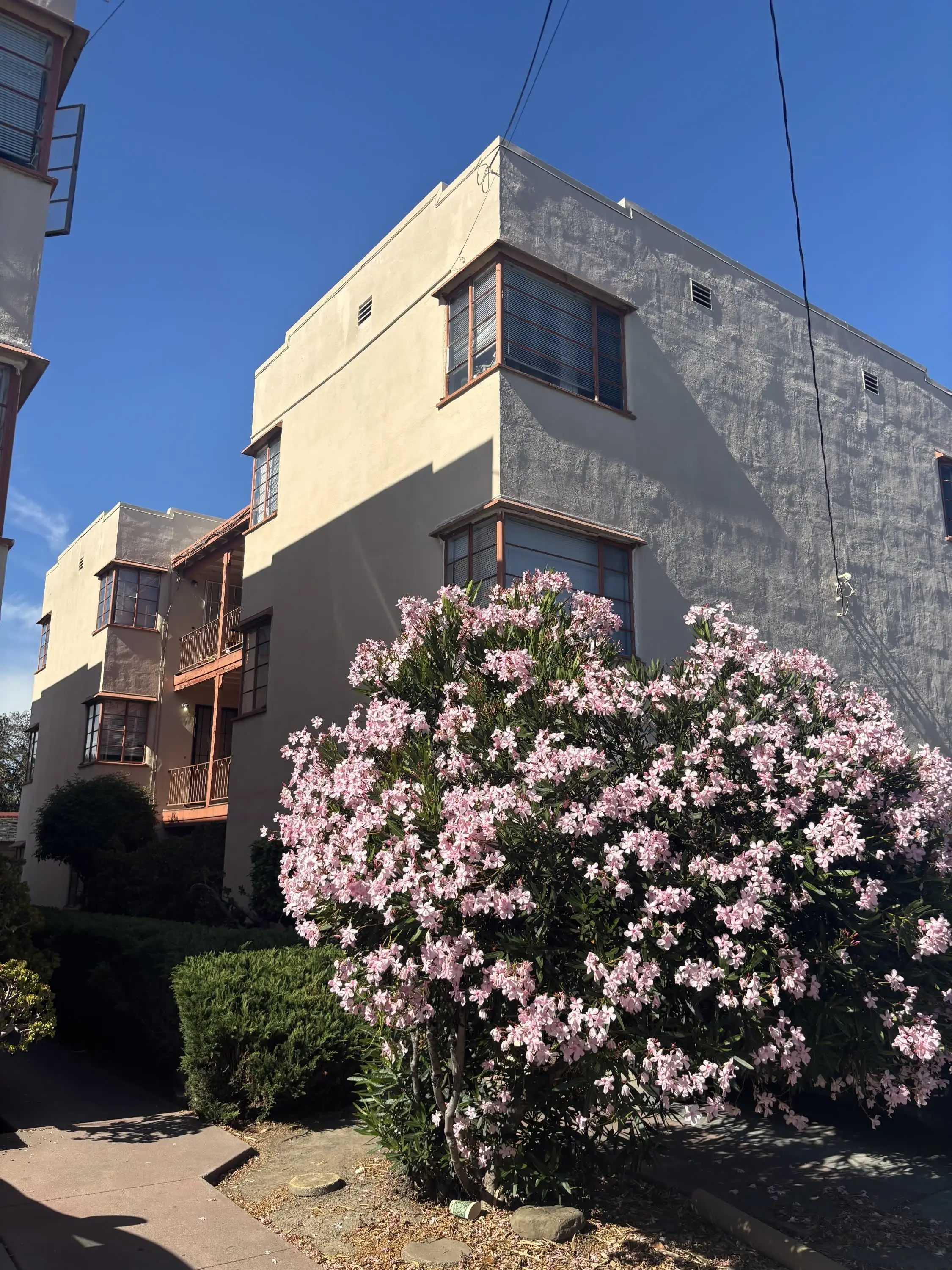 158 W Broadmoor Blvd photo 2