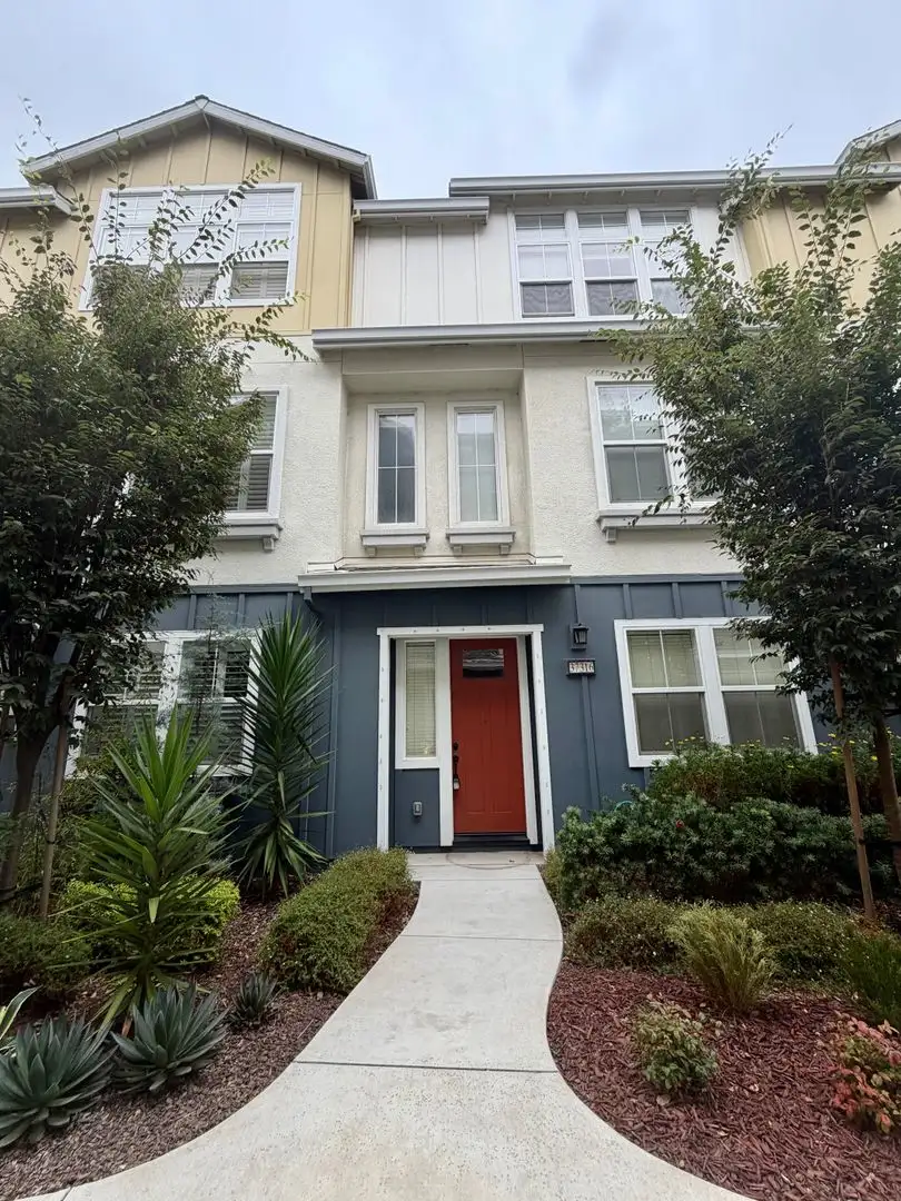 Pristine Silicon Valley New Build! photo 3