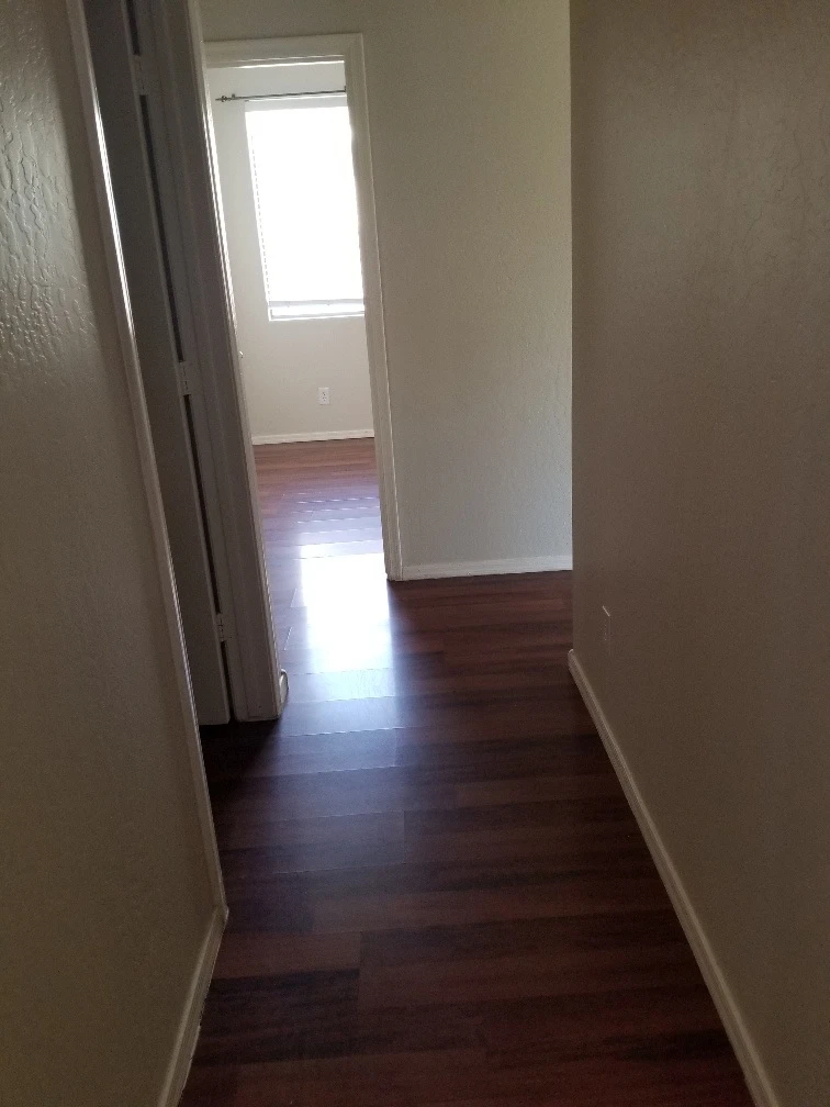 1447 E Mia Ln photo 4