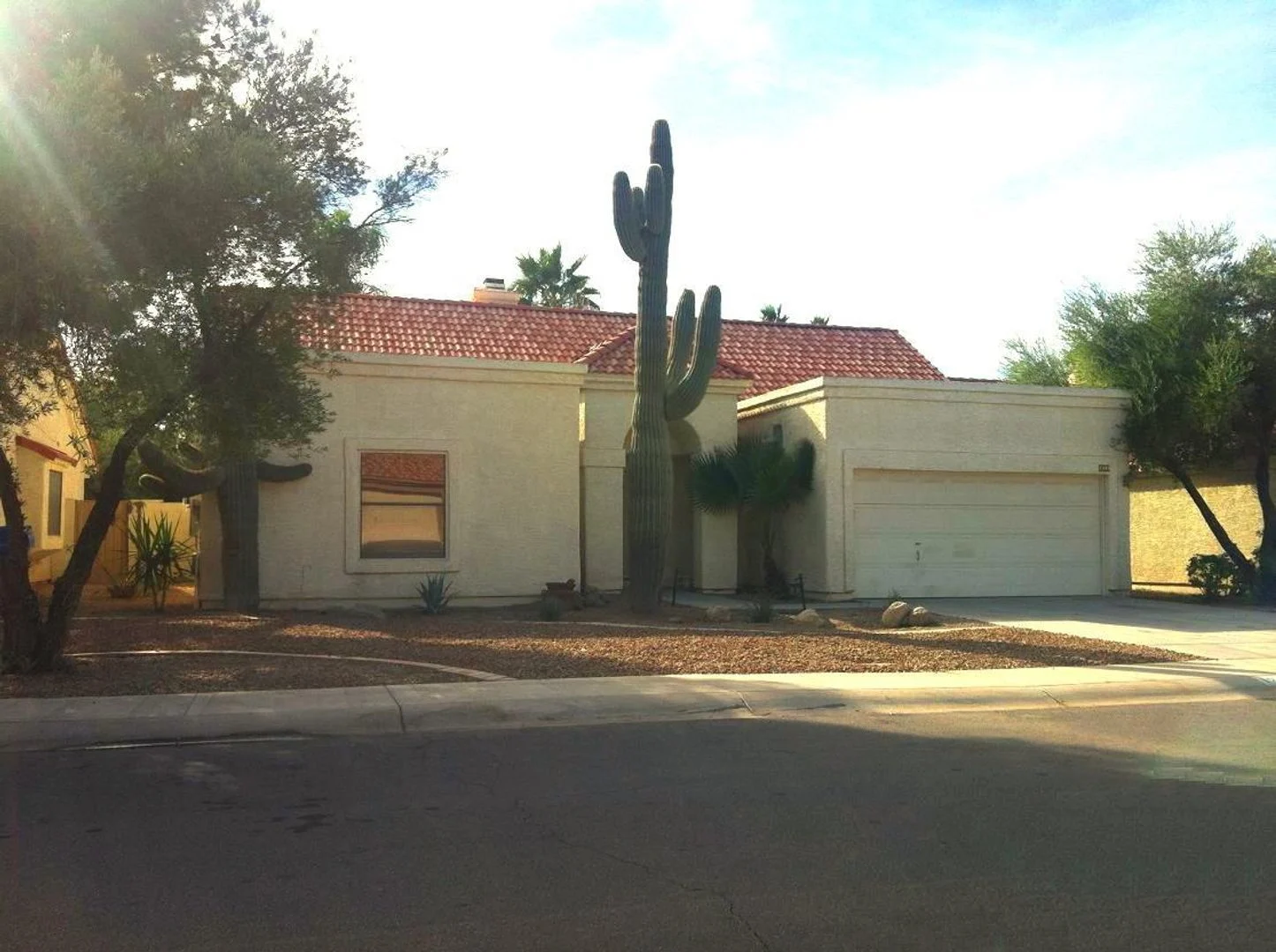 1249 E Laurel Ave photo 2