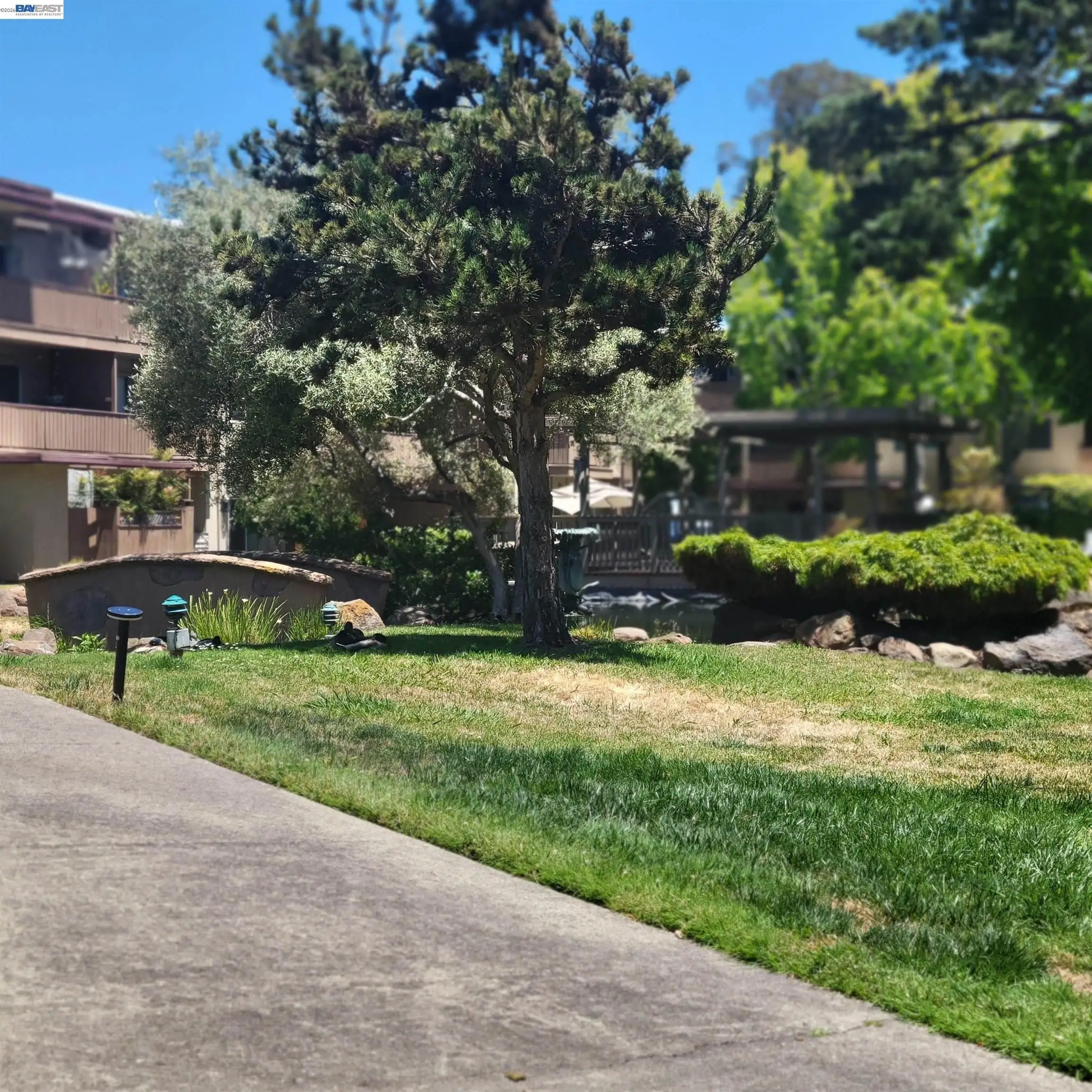 1321 Webster Street #D306 - Studio | 1 bathroom | Condo photo 2