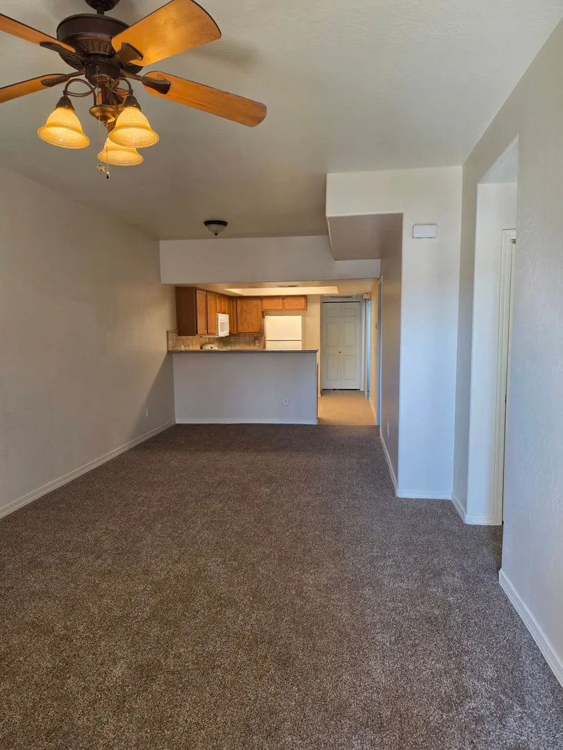 537 South Delaware Drive, Apache Junction, AZ 85120 photo 4