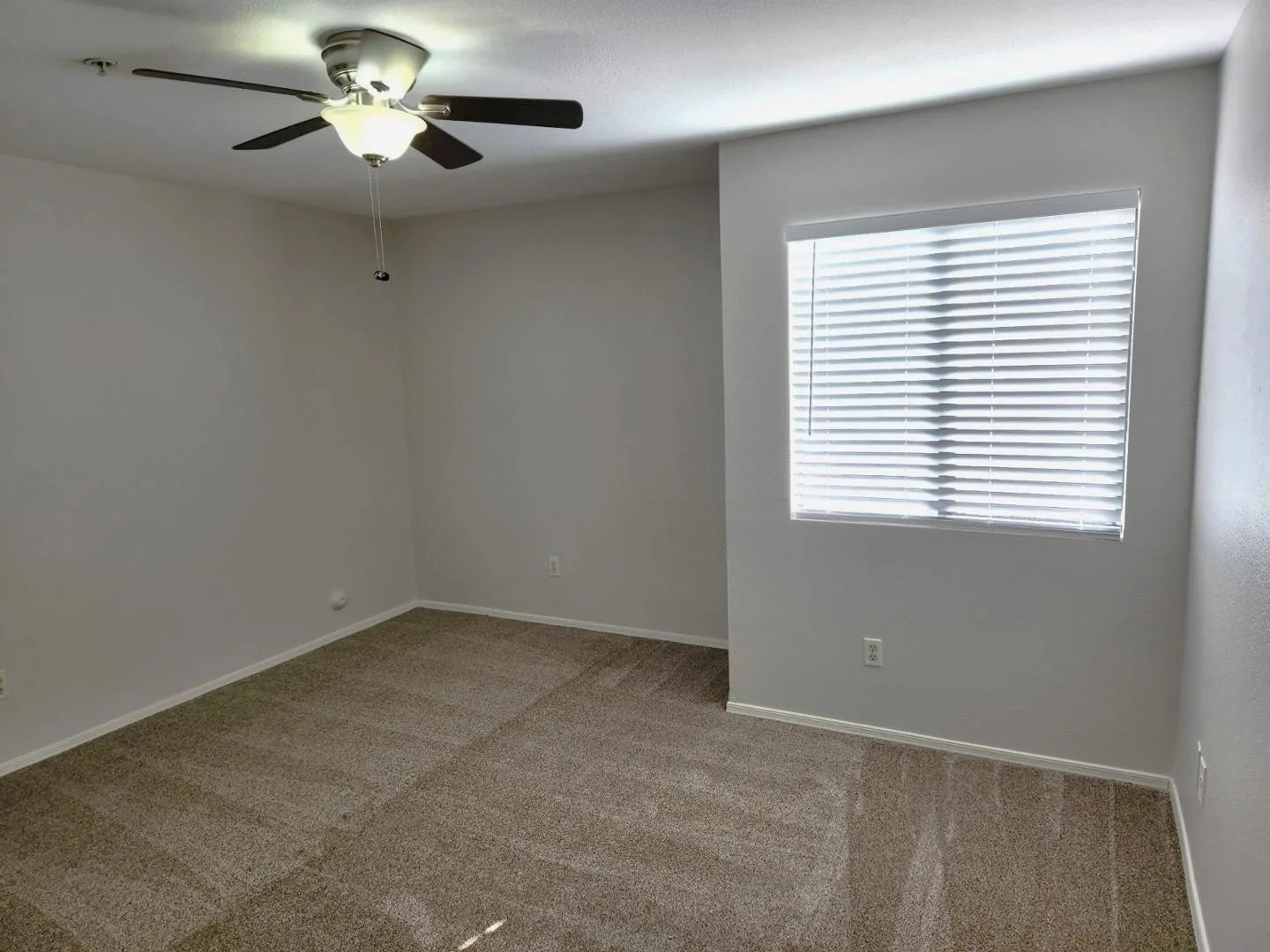 16033 N 25th Street photo 5
