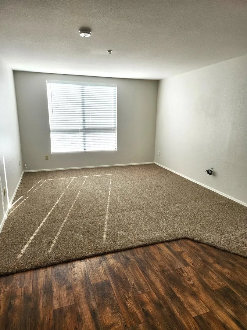 16033 N 25th St Phoenix, AZ 85032 photo 4