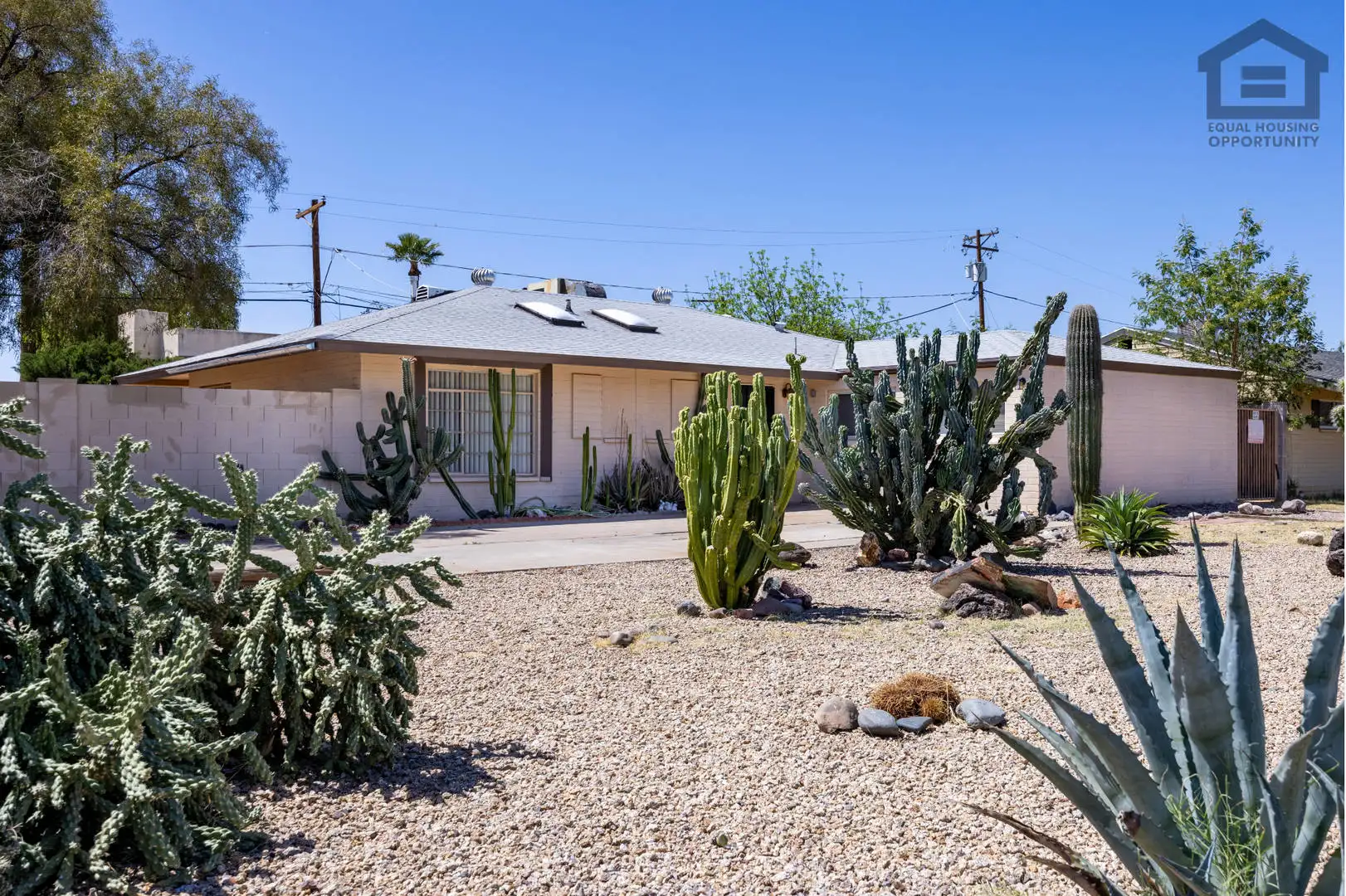 3Bed House At 19th Ave/camelback! Move-in Ready On 06/18/2026! -- No Hoa! Corner Lot! photo 5