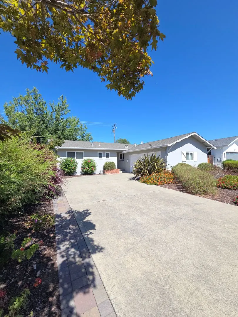 3343 Geneva Dr photo 5