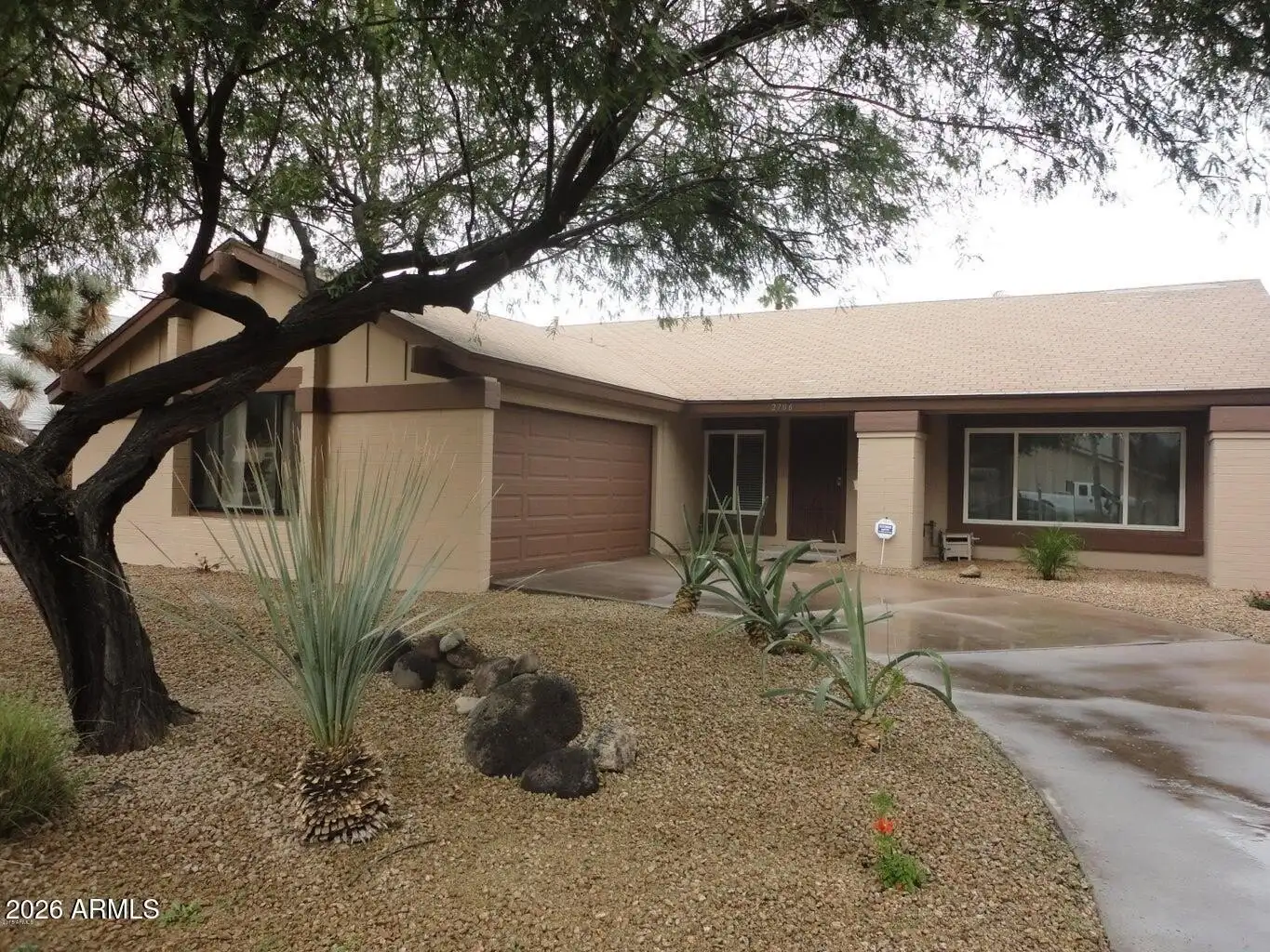 2706 E Sylvia St photo 2