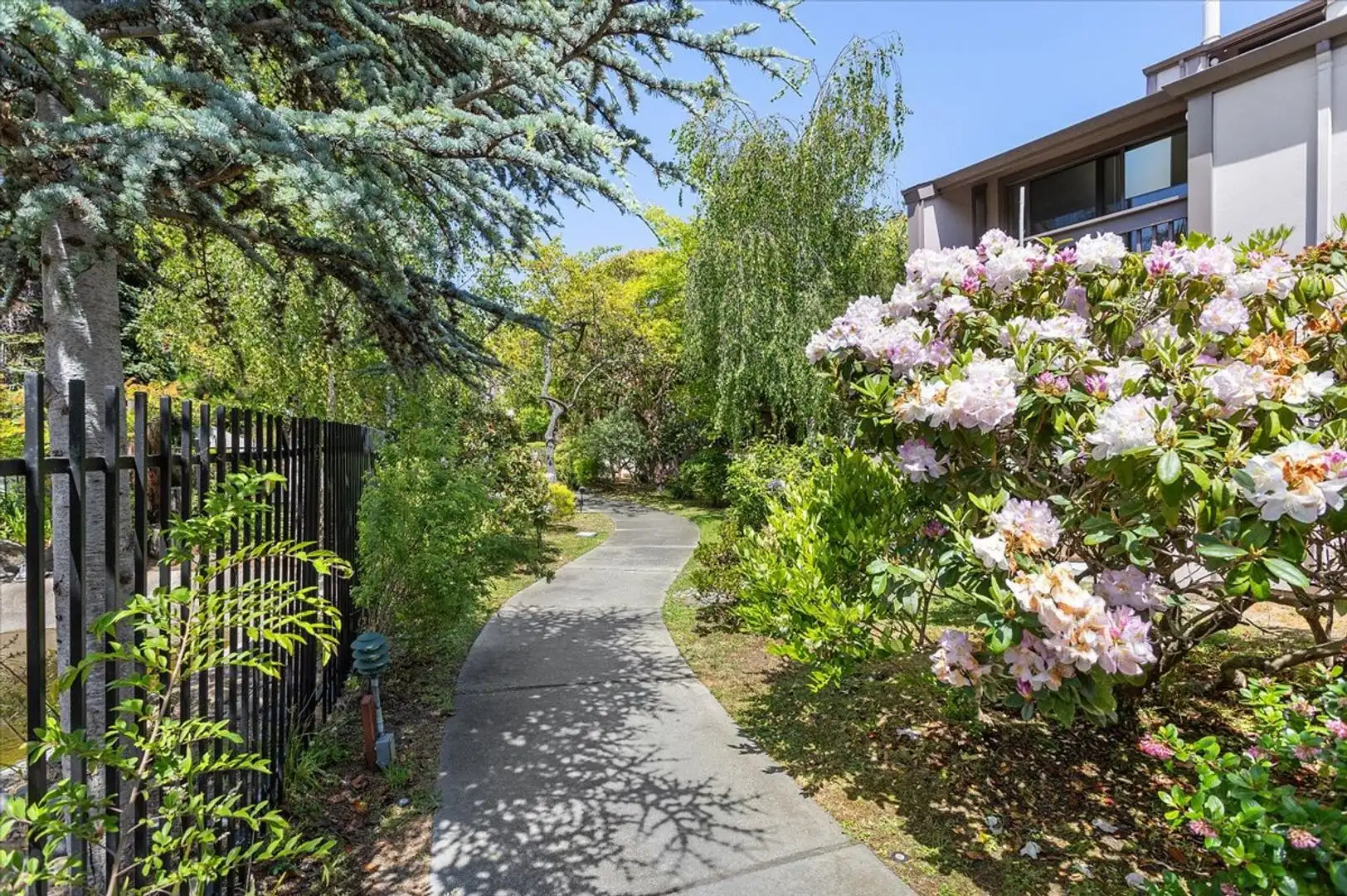 2101 Shore Line Drive, Alameda, CA 94501 photo 4