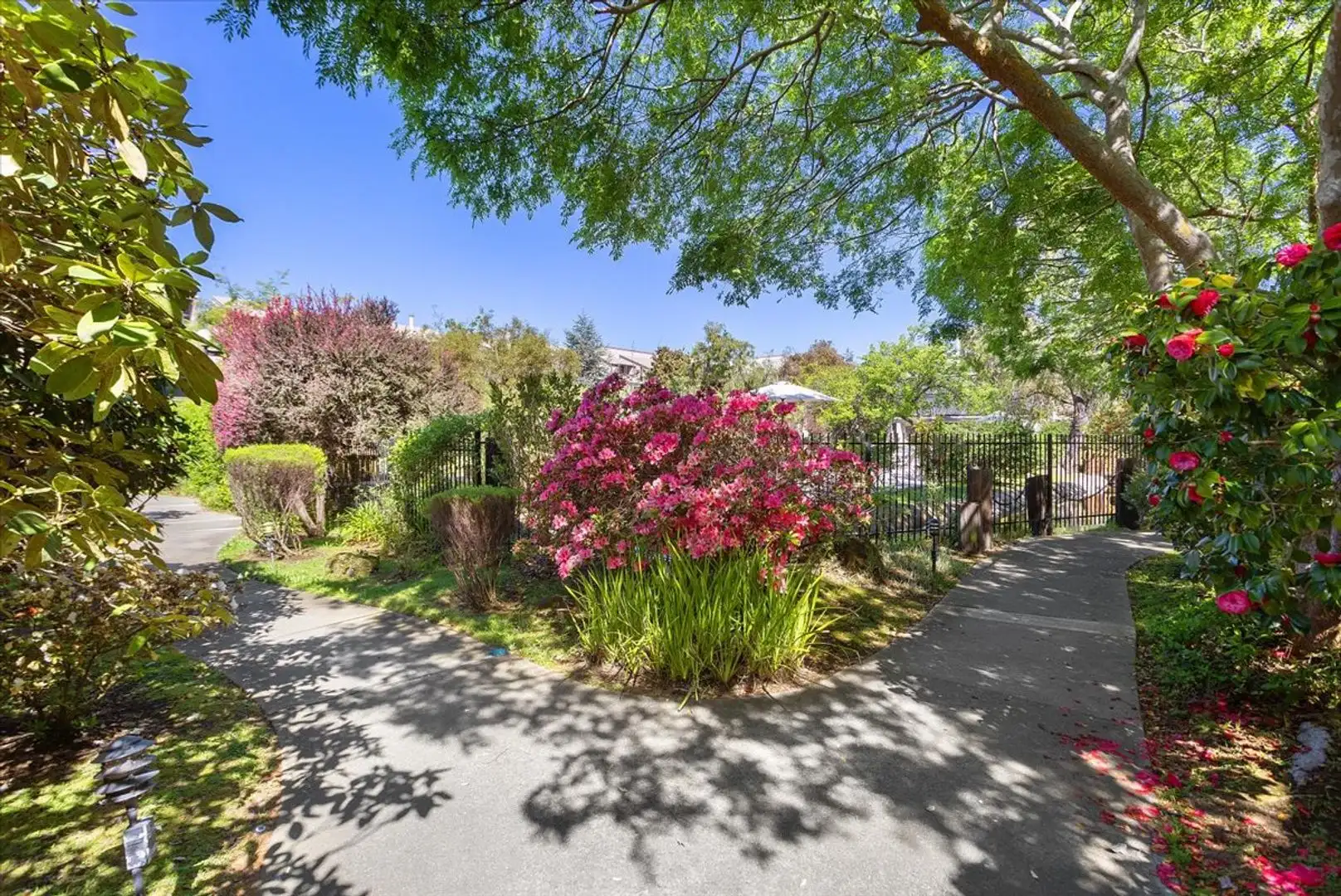 2101 Shore Line Drive, Alameda, CA 94501 photo 5