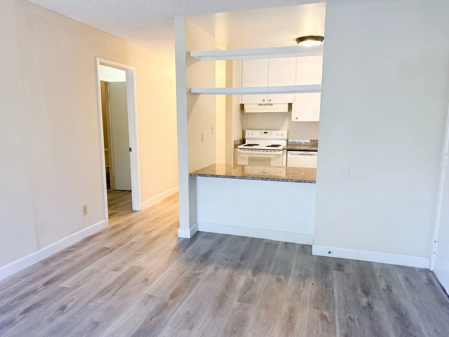 1 bedroom end unit with no upper or lower neighbors! photo 5