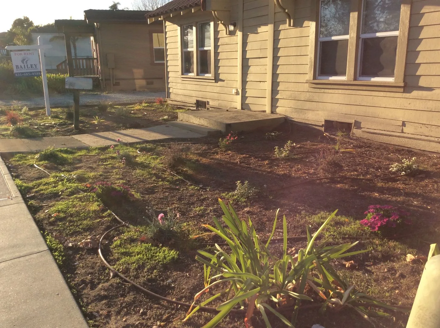 3BR/2BA Single Family House on Mission St · Santa Cruz photo 2