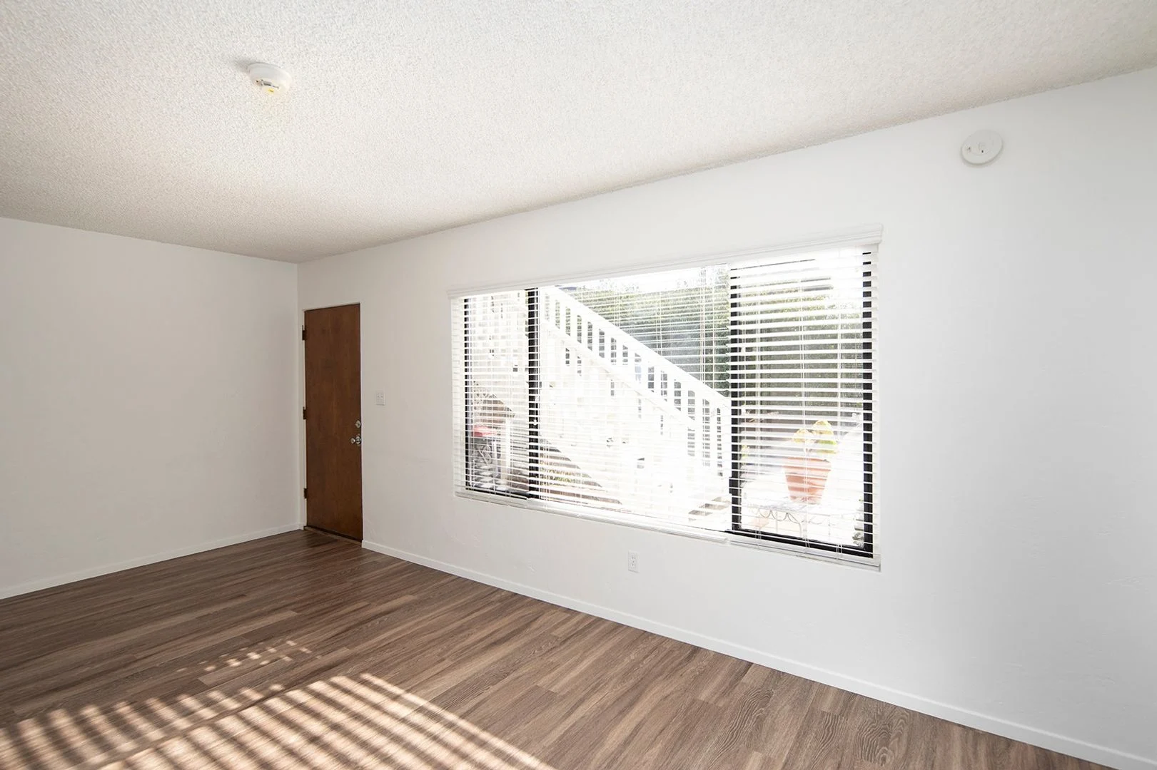 Spacious 1BR in Great Ocean Beach/Point Loma Area! photo 3