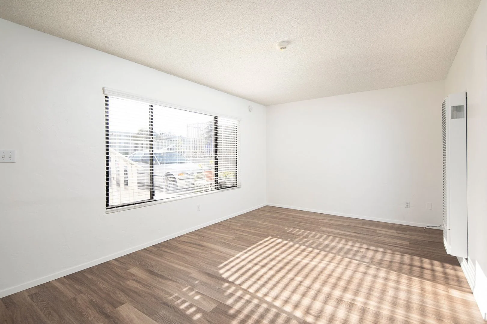 Spacious 1BR in Great Ocean Beach/Point Loma Area! photo 2