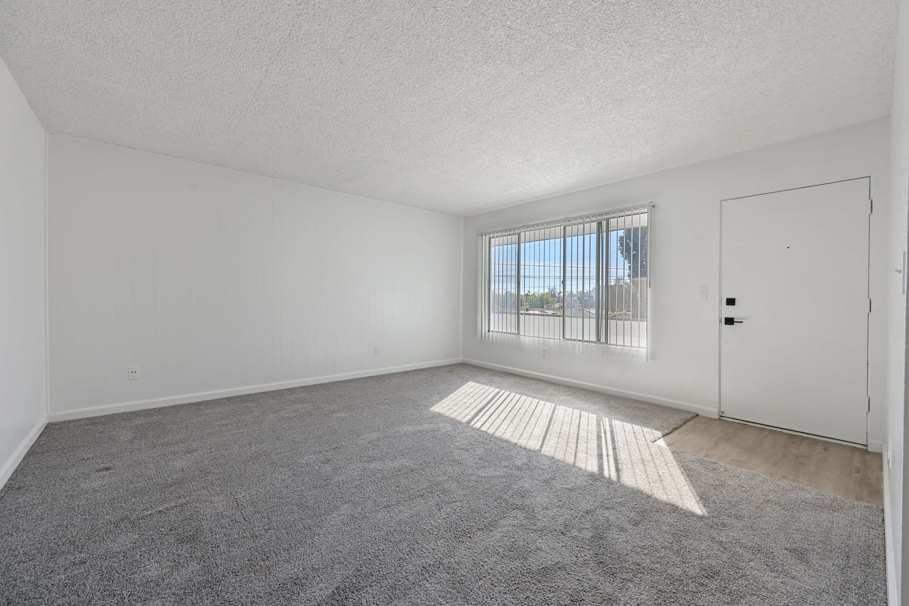 3441 Ruffin RoadO1 photo 3