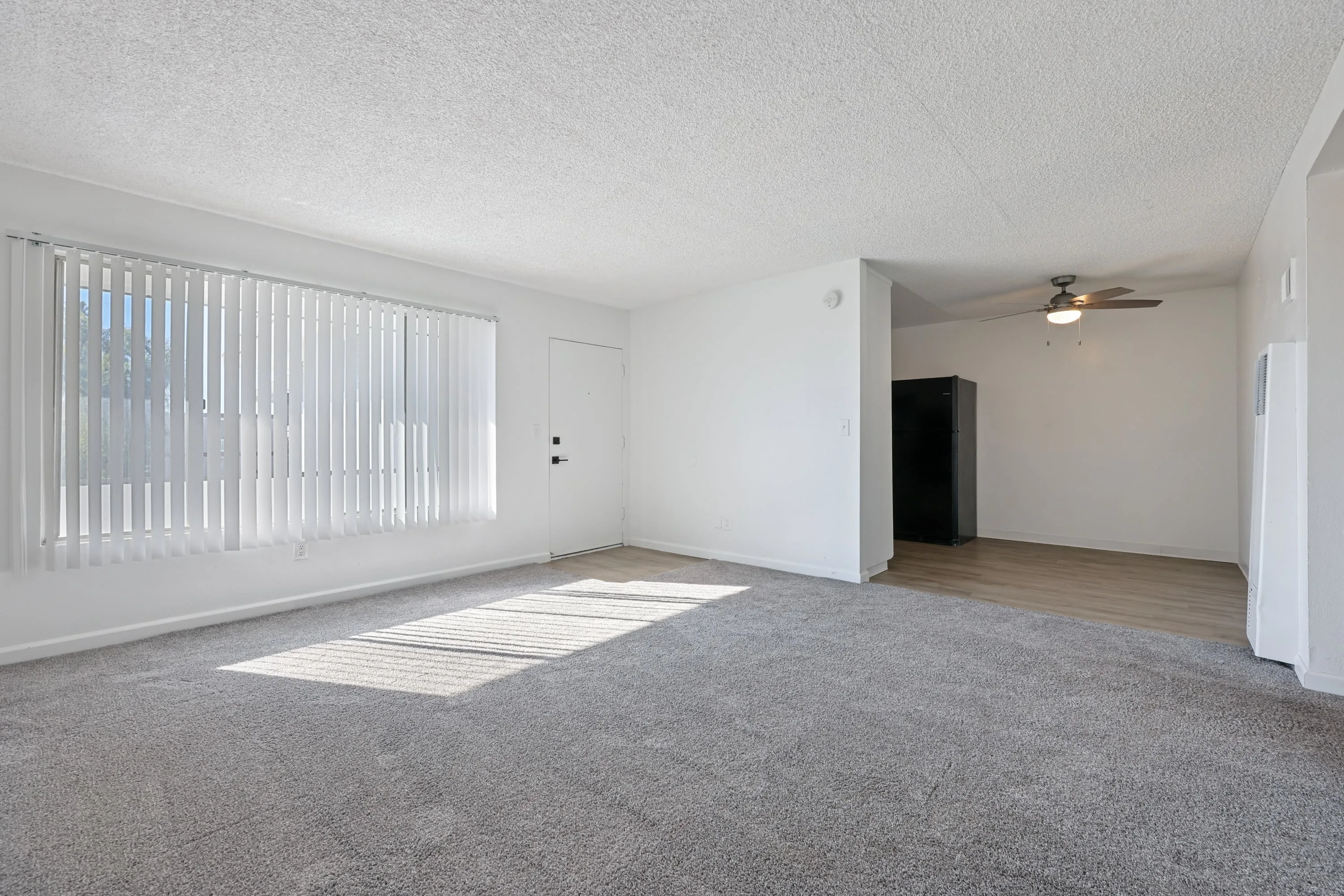 3441 Ruffin RoadO1 photo 2