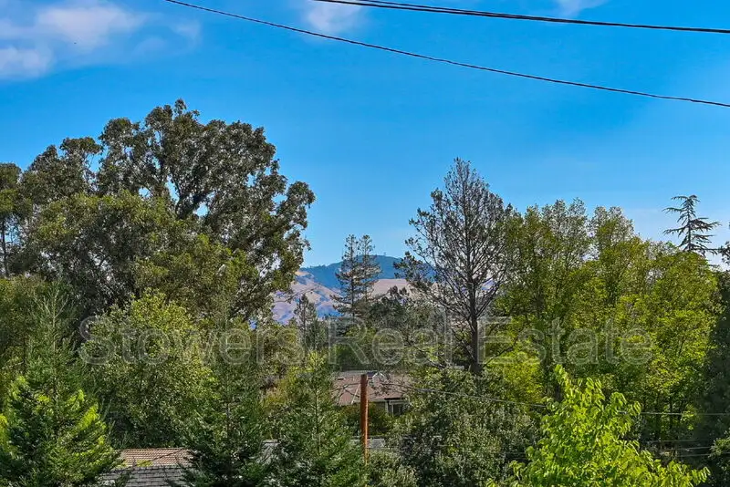 1090 Livorna Rd photo 5
