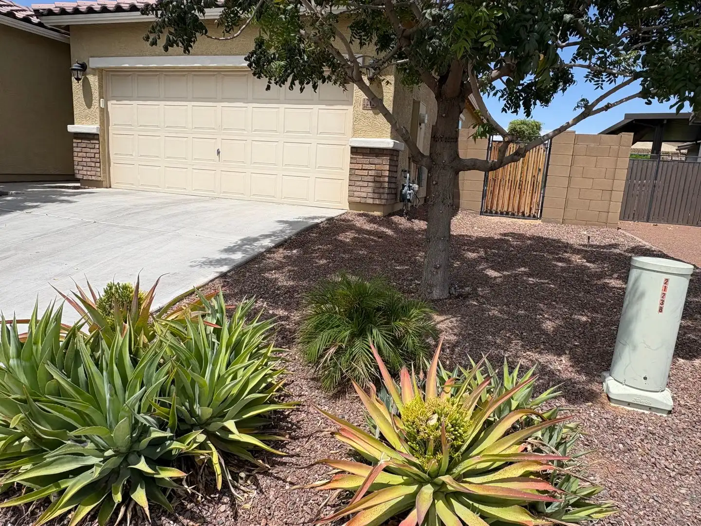 21248 W Palm Ln Buckeye, AZ 85396 photo 4