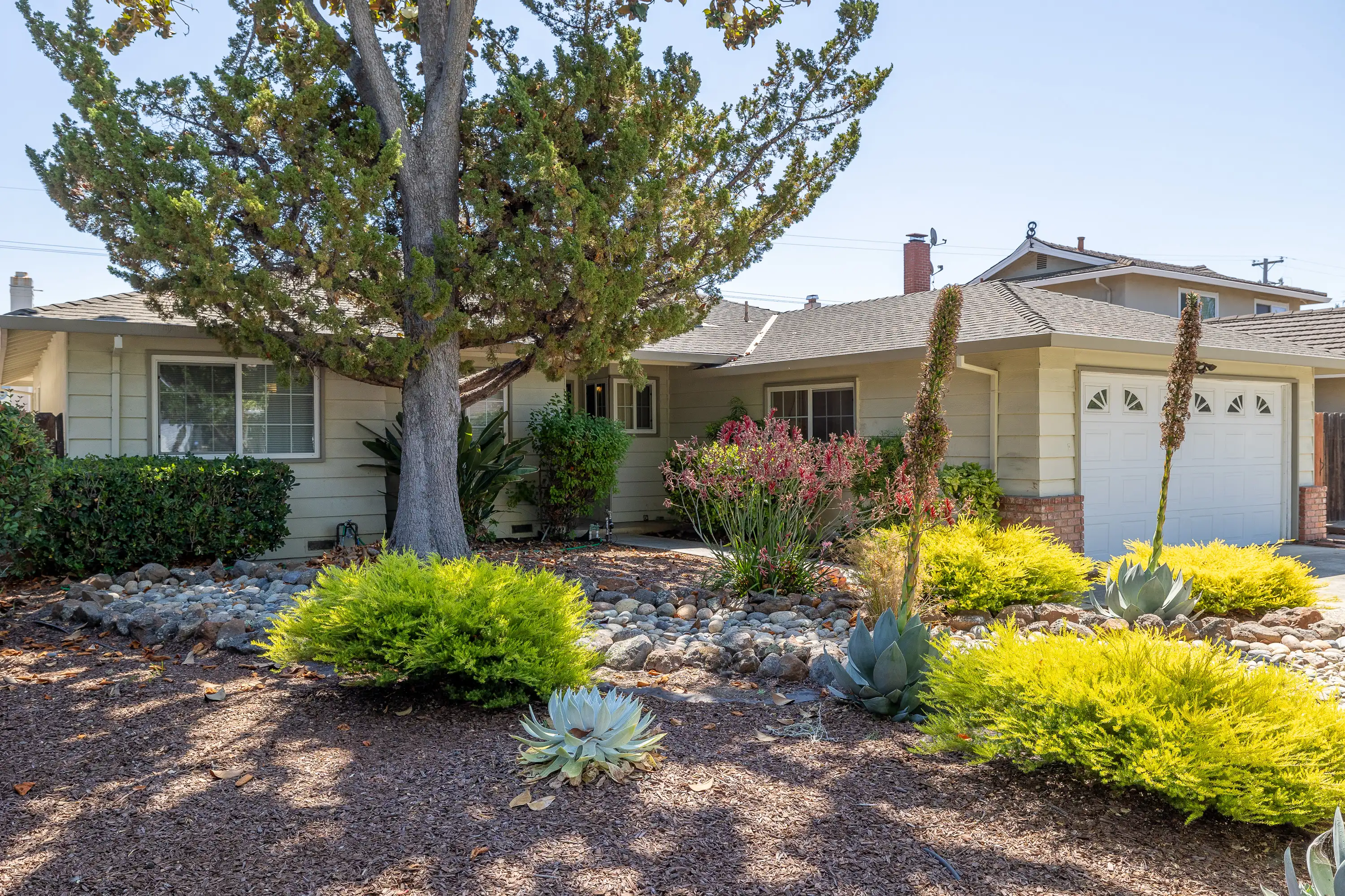 1416 Petal Way photo 3