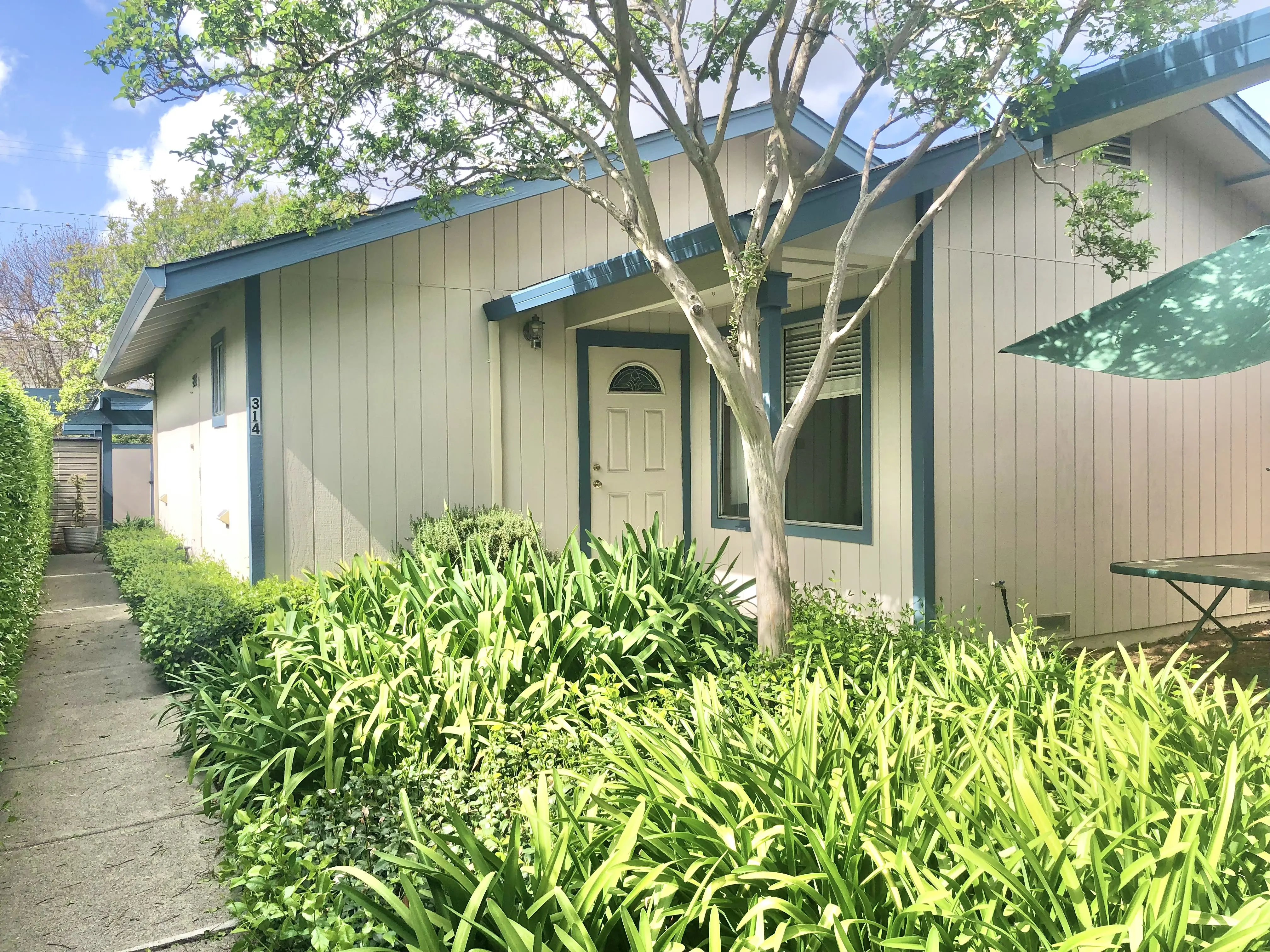 314 Hewett Street photo 4