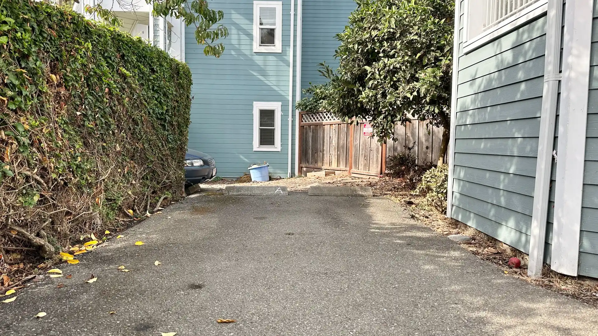 2018 Ninth St unit A photo 3