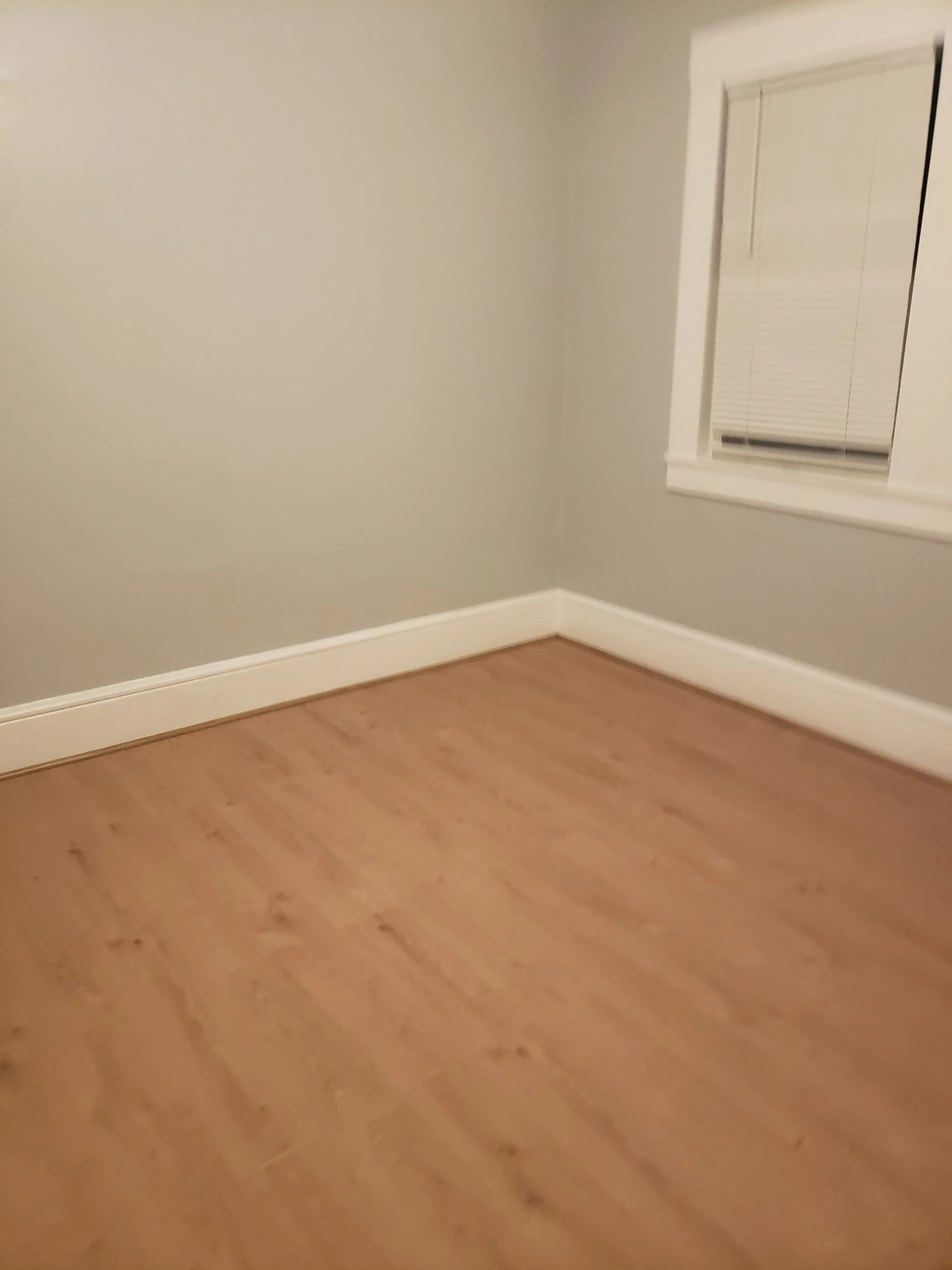 3274 Hyde Street photo 4