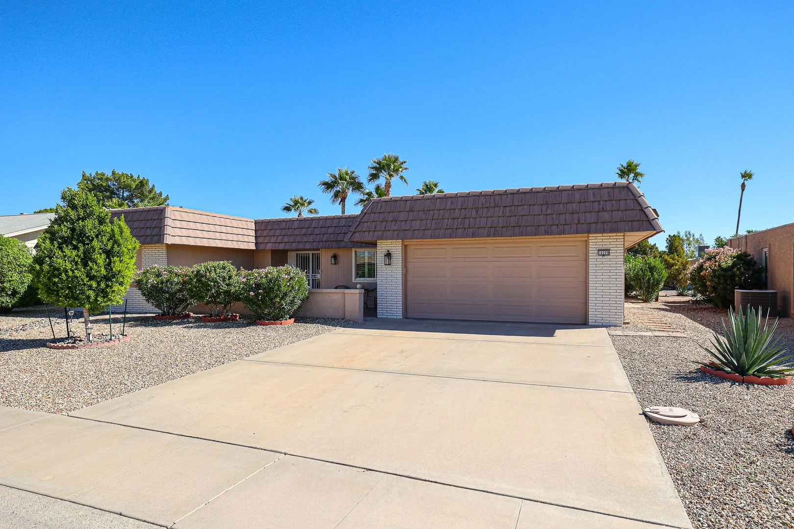 16209 N Desert Holly Dr photo 3