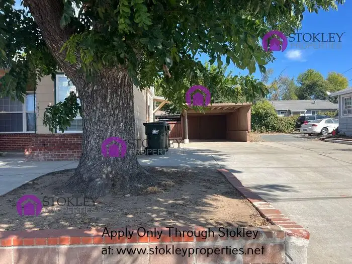 1511 Jacobsen Street photo 5